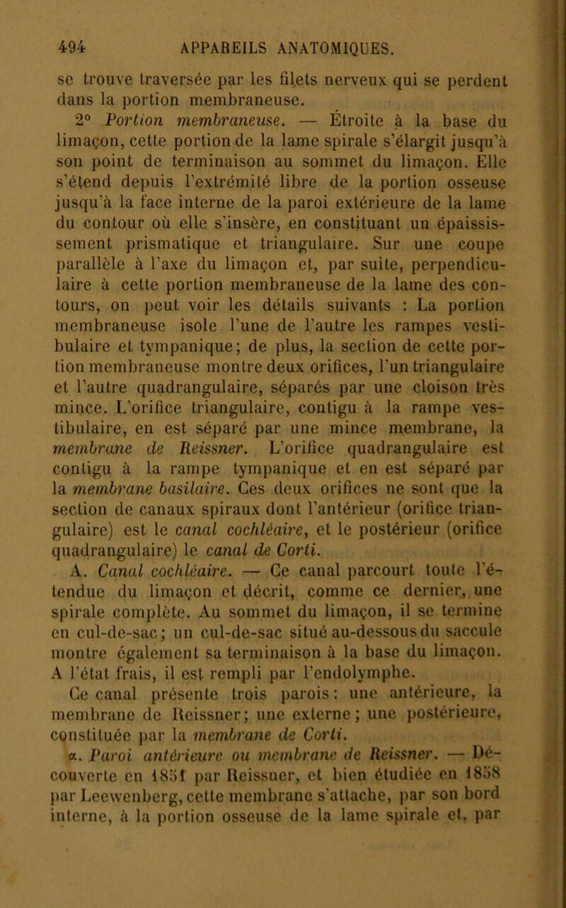 se trouve traversée par les filets nerveux qui se perdent dans la portion membraneuse. 2® Portion membraneuse. — Étroite à la base du limaçon, cette portion de la lame spirale s’élargit jusqu’à son point de terminaison au sommet du limaçon. Elle s’étend de[)uis l’extrémité libre de la portion osseuse jusqu’à la face interne de la paroi extérieure de la lame du contour où elle s’insère, en constituant un épaissis- sement prismatique et triangulaire. Sur une coupe parallèle à l’axe du limaçon et, par suite, perpendicu- laire à cette portion membraneuse de la lame des con- tours, on peut voir les détails suivants ; La portion membraneuse isole l’une de l’autre les rampes vesti- bulaire et tympanique; de plus, la section de cette por- tion membraneuse montre deux orifices, l’un triangulaire et l’autre quadrangulaire, séparés par une cloison très mince. L’orifice triangulaire, contigu à la rampe ves- tibulaire, en est séparé par une mince membrane, la membrane de Reissner. L’orifice quadrangulaire est contigu à la rampe tympanique et en est séparé par la membrane basilaire. Ces deux orifices ne sont (jue la section de canaux spiraux dont l’antérieur (orifice trian- gulaire) est le canal cochléaire, et le postérieur (orifice quadrangulaire) le canal de Corli. A. Canal cochléaire. — Ce canal parcourt toute l’é- tendue du limaçon et fiécrit, comme ce dernier, une spirale complète. Au sommet du limaçon, il se termine en cul-de-sac; un cul-de-sac situé au-dessous du saccule montre également sa terminaison à la base du limaçon. A l’état frais, il est rempli par l’endolymphe. Ce canal présente trois parois : une antérieure, la membrane de Reissner; uue externe; une postérieure, constituée ])ar la membrane de Corli. a. Paroi antérieure ou membrane de Reissner. — Dé- couverte en 18af par Reissner, et bien étudiée en 18o8 par Lccwenberg, cette membrane s'attache, par son bord interne, à la portion osseuse de la lame spirale et, par