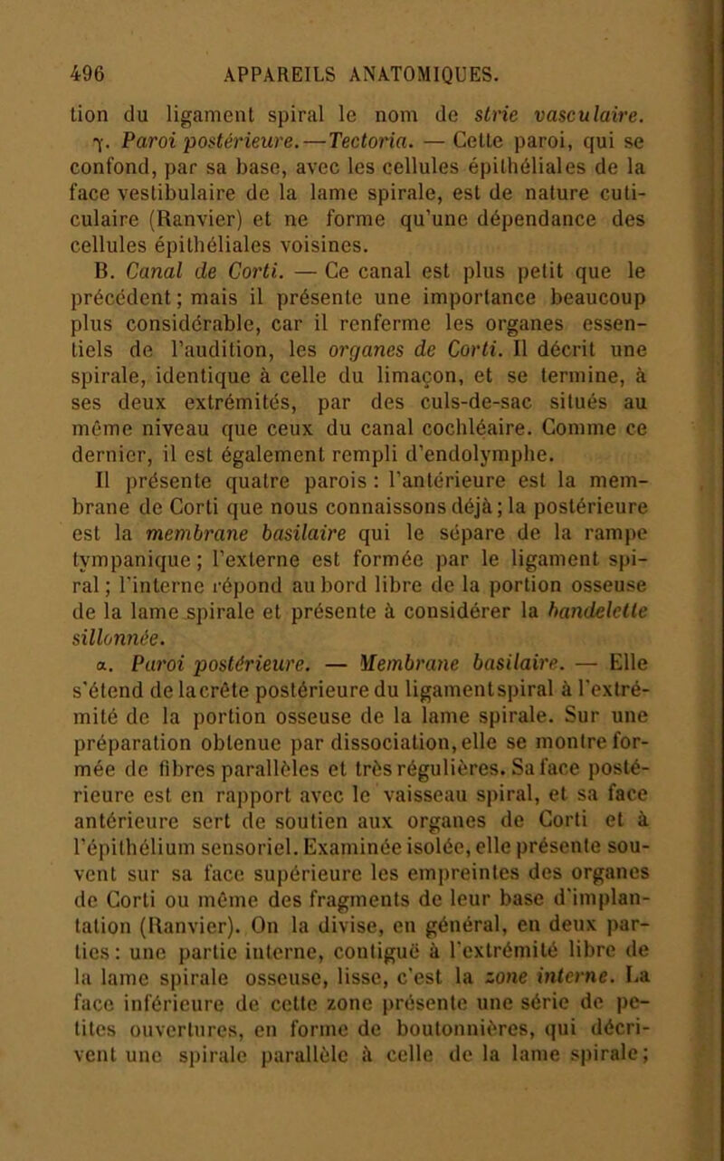 lion du ligament spiral le nom de strie vasculaire. Paroi postérieure.—Tectoria. —Celle paroi, qui se confond, par sa base, avec les cellules épithéliales de la face vestibulaire de la lame spirale, est de nature culi- culaire (Ranvier) et ne forme qu’une dépendance des cellules épithéliales voisines. B. Canal de Corti. — Ce canal est plus petit que le précédent ; mais il présente une importance beaucoup plus considérable, car il renferme les organes essen- tiels de l’audition, les organes de Corti. Il décrit une spirale, identique à celle du limaçon, et se termine, à ses deux extrémités, par des culs-de-sac situés au même niveau que ceux du canal cochléaire. Comme ce dernier, il est également rempli d’endolymphe. Il présente quatre parois : l’antérieure est la mem- brane de Corti que nous connaissons déjà; la postérieure est la membrane basilaire qui le sépare de la rampe tympanique ; l’externe est formée par le ligament spi- ral ; l’interne répond au bord libre de la portion osseuse de la lame .spirale et présente à considérer la bandelette sillonnée. a. Paroi postérieure. — Membrane basilaire. — Elle s'étend delacrête postérieure du ligamenlspiral à l'extré- mité de la portion osseuse de la lame spirale. Sur une préparation obtenue par dissociation, elle se montre for- mée de fibres parallèles et très régulières. Sa face posté- rieure est en rapport avec le vaisseau spiral, et sa face antérieure sert de soutien aux organes de Corti et à l’épithélium sensoriel. Examinée isolée, elle présente sou- vent sur sa face supérieure les empreintes des organes de Corti ou même des fragments de leur base d'implan- tation (Ranvier). On la divise, en général, en deux par- ties : une partie interne, contiguë à l'cxlrémilé libre de la lame spirale osseuse, lisse, c’est la zone interne. La face inférieure de celte zone présente une série de pe- tites ouvertures, en forme de boutonnières, qui décri- vent une spirale parallèle à celle de la lame spirale;