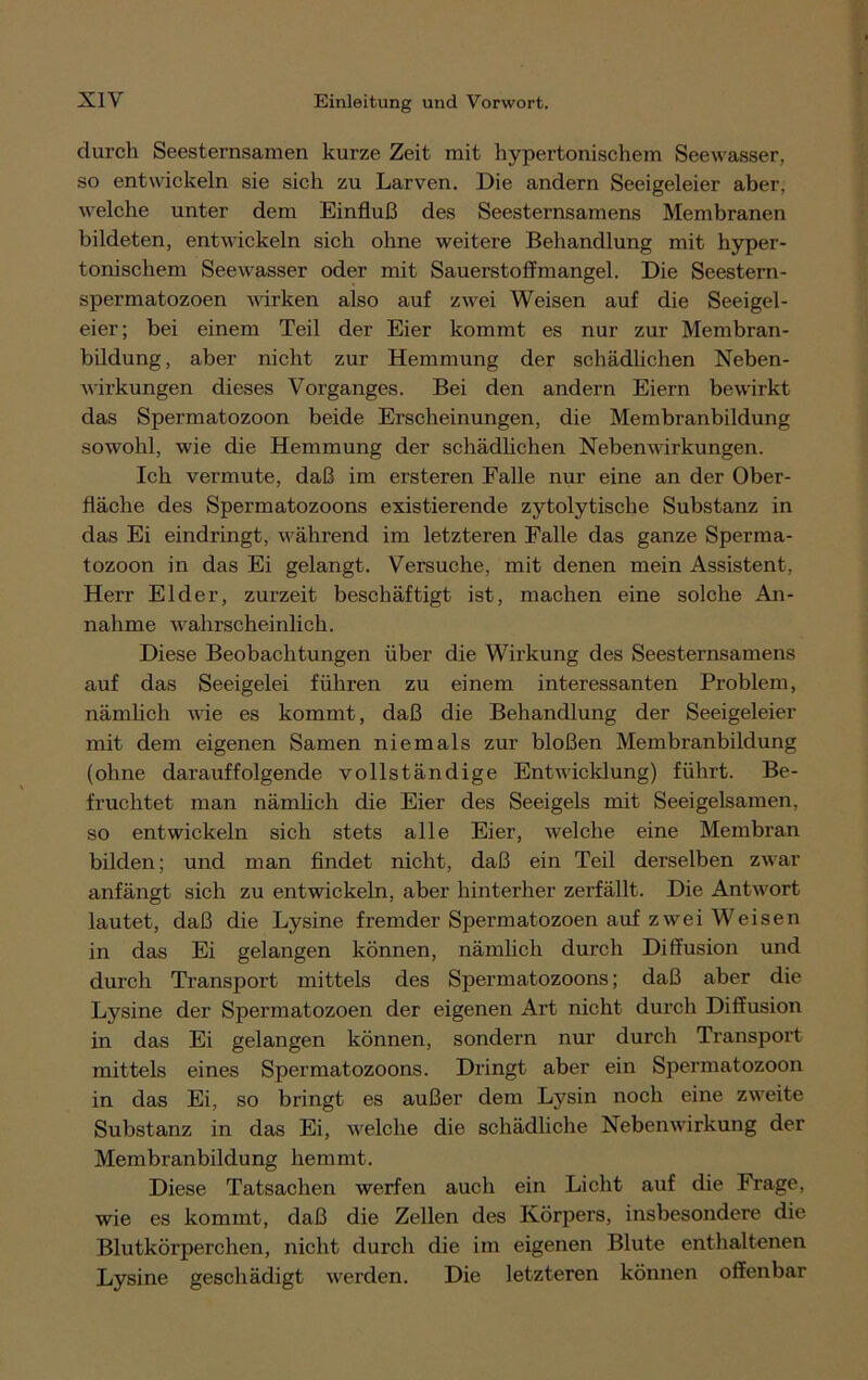 durch Seesternsamen kurze Zeit mit hypertonischem Seevvasser, so entwickeln sie sich zu Larven. Die andern Seeigeleier aber, welche unter dem Einfluß des Seesternsamens Membranen bildeten, entwickeln sich ohne weitere Behandlung mit hyper- tonischem Seewasser oder mit Sauerstoffmangel. Die Seestern- spermatozoen wirken also auf zwei Weisen auf die Seeigel- eier; bei einem Teil der Eier kommt es nur zur Membran- bildung, aber nicht zur Hemmung der schädlichen Neben- wirkungen dieses Vorganges. Bei den andern Eiern bewirkt das Spermatozoon beide Erscheinungen, die Membranbildung sowohl, wie die Hemmung der schädlichen Nebenwirkungen. Ich vermute, daß im ersteren Falle nur eine an der Ober- fläche des Spermatozoons existierende zytolytische Substanz in das Ei eindringt, während im letzteren Falle das ganze Sperma- tozoon in das Ei gelangt. Versuche, mit denen mein Assistent, Herr Eider, zurzeit beschäftigt ist, machen eine solche An- nahme wahrscheinlich. Diese Beobachtungen über die Wirkung des Seesternsamens auf das Seeigelei führen zu einem interessanten Problem, nämlich wie es kommt, daß die Behandlung der Seeigeleier mit dem eigenen Samen niemals zur bloßen Membranbildung (ohne darauffolgende vollständige Entwicklung) führt. Be- fruchtet man nämlich die Eier des Seeigels mit Seeigelsamen, so entwickeln sich stets alle Eier, welche eine Membran bilden; und man findet nicht, daß ein Teil derselben zwar anfängt sich zu entwickeln, aber hinterher zerfällt. Die Antwort lautet, daß die Lysine fremder Spermatozoen auf zwei Weisen in das Ei gelangen können, nämlich durch Diffusion und durch Transport mittels des Spermatozoons; daß aber die Lysine der Spermatozoen der eigenen Art nicht durch Diffusion in das Ei gelangen können, sondern nur durch Transport mittels eines Spermatozoons. Dringt aber ein Spermatozoon in das Ei, so bringt es außer dem Lysin noch eine zweite Substanz in das Ei, welche die schädliche Nebenwirkung der Membranbildung hemmt. Diese Tatsachen werfen auch ein Licht auf die Frage, wie es kommt, daß die Zellen des Körpers, insbesondere die Blutkörperchen, nicht durch die im eigenen Blute enthaltenen Lysine geschädigt werden. Die letzteren können offenbar