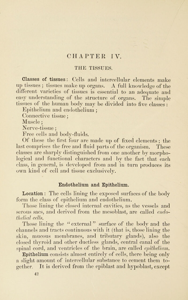 CHAPTER IY. the tissup:s. Classes of tissues: Cells and intercellular elements make up tissues ; tissues makeup organs. A full knowledge of the different varieties of tissues is essential to an adequate and easy understanding of the structure of organs. The simple tissues of the human body may be divided into five classes : Epithelium and endothelium ; Connective tissue; Muscle; Nerve-tissue; Free cells and body-fluids. Of these the first four are made up of fixed elements; the last comprises the free and fluid parts of the organism. These classes are sharply distinguished from one another by morpho- logical and functional characters and by the fact that each class, in general, is developed from and in turn produces its own kind of cell and tissue exclusively. Endothelium and Epithelium. Location : The cells lining the exposed surfaces of the body form the class of epithelium and endothelium. Those lining the closed internal cavities, as the vessels and serous sacs, and derived from the mesoblast, are called endo- thelial cells. Those lining* the “ external ” surface of the bodv and the channels and tracts continuous with it (that is, those lining the skin, mucous membranes, and tributary glands), also the closed thyroid and other ductless glands, central canal of the spinal cord, and ventricles of the brain, are called epithelium. Epithelium consists almost entirely of cells, there being only a slight amount of intercellular substance to cement them to- gether. It is derived from the epiblast and hypoblast, except