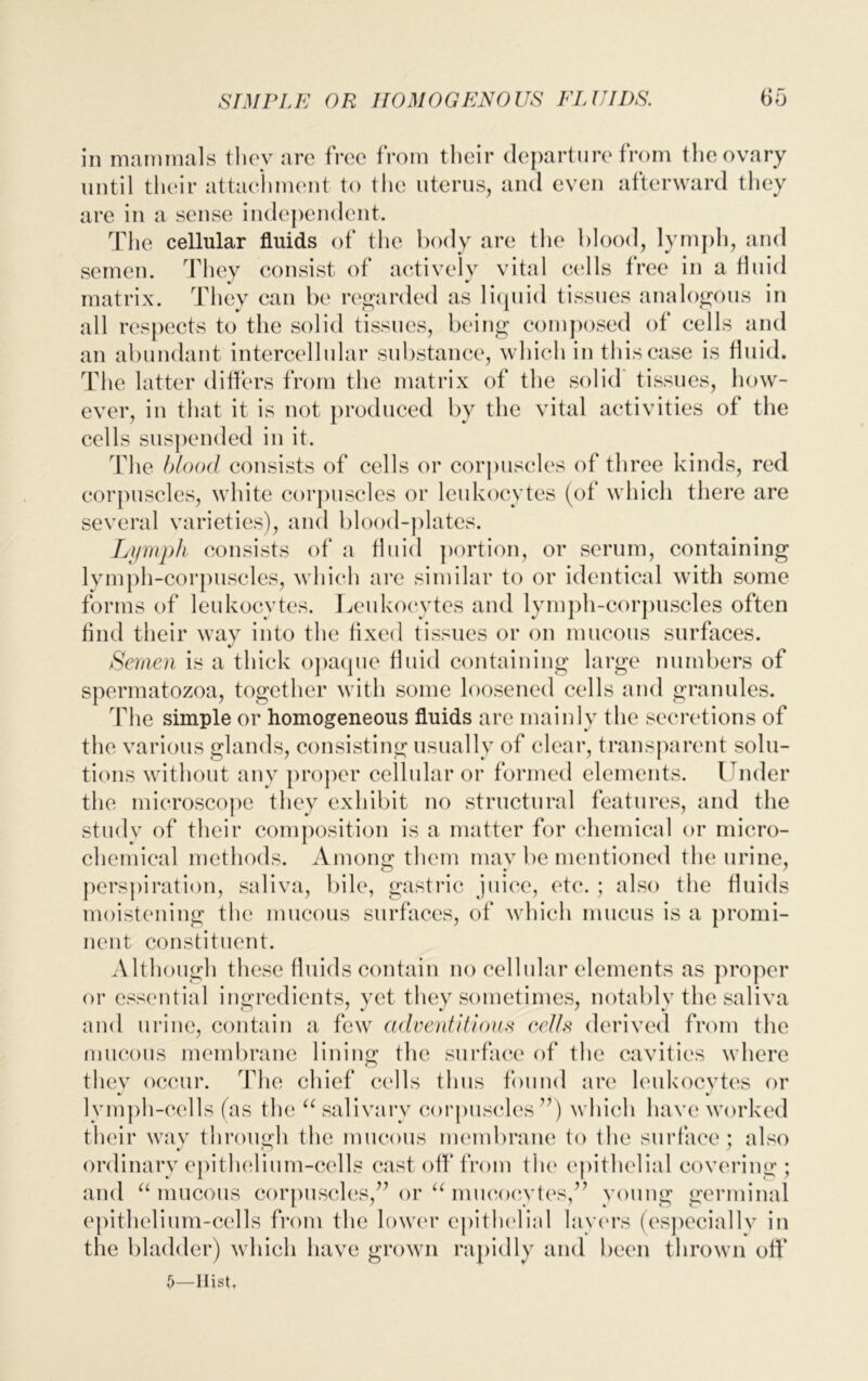 in mammals t hey are free from their departure from the ovary until their attachment to the uterus, and even afterward they are in a sense independent. The cellular fluids of the body are the blood, lymph, and semen. They consist of actively vital cells free in a fluid matrix. They can be regarded as liquid tissues analogous in all respects to the solid tissues, being composed of cells and an abundant intercellular substance, which in this case is fluid. The latter differs from the matrix of the solid tissues, how- ever, in that it is not produced by the vital activities of the cells suspended in it. The blood consists of cells or corpuscles of three kinds, red corpuscles, white corpuscles or leukocytes (of which there are several varieties), and blood-plates. Lymph consists of a fluid portion, or serum, containing lymph-corpuscles, which are similar to or identical with some forms of leukocytes. Leukocytes and lymph-corpuscles often find their way into the fixed tissues or on mucous surfaces. Semen is a thick opaque fluid containing large numbers of spermatozoa, together with some loosened cells and granules. The simple or homogeneous fluids are mainly the secretions of the various glands, consisting usually of clear, transparent solu- tions without any proper cellular or formed elements. Under the microscope they exhibit no structural features, and the study of their composition is a matter for chemical or micro- chemical methods. Among them may be mentioned the urine, perspiration, saliva, bile, gastric juice, etc. ; also the fluids moistening the mucous surfaces, of which mucus is a promi- nent constituent. Although these fluids contain no cellular elements as proper or essential ingredients, yet they sometimes, notably the saliva and urine, contain a few adventitious cells derived from the mucous membrane lining the surface of the cavities where they occur. The chief cells thus found are leukocytes or lymph-cells (as the “ salivary corpuscles ”) which have worked their way through the mucous membrane to the surface; also ordinary epithelium-cells cast off from the epithelial covering; and “ mucous corpuscles,” or “ mueocytes,” young germinal epithelium-cells from the lower epithelial layers (especially in the bladder) which have grown rapidly and been thrown off