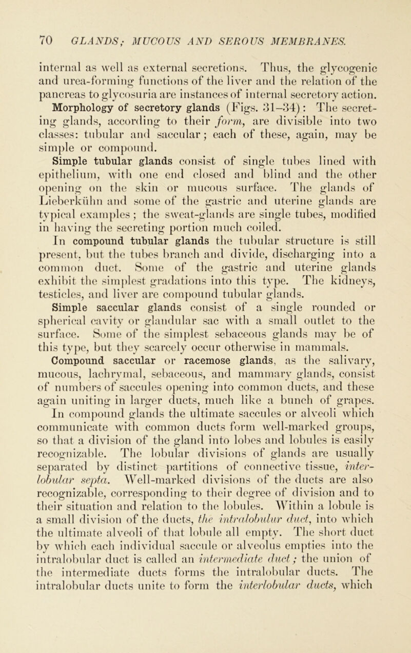 internal as well as external secretions. Thus, the glycogenic and urea-forming functions of the liver and the relation of the pancreas to glycosuria are instances of internal secretory action. Morphology of secretory glands (Figs. 31-34): The secret- ing glands, according to their form, are divisible into two classes: tubular and saccular; each of these, again, may be simple or compound. Simple tubular glands consist of single tubes lined with epithelium, with one end closed and blind and the other opening on the skin or mucous surface. The glands of Lieberkiihn and some of the gastric and uterine glands are typical examples; the sweat-glands are single tubes, modified in having the secreting portion much coiled. In compound tubular glands the tubular structure is still present, but the tubes branch and divide, discharging into a common duct. Some of the gastric and uterine glands exhibit the simplest gradations into this type. The kidneys, testicles, and liver are compound tubular glands. Simple saccular glands consist of a single rounded or spherical cavity or glandular sac with a small outlet to the surface. Some of the simplest sebaceous glands may be of this type, but they scarcely occur otherwise in mammals. Compound saccular or racemose glands, as the salivary, mucous, lachrymal, sebaceous, and mammary glands, consist of numbers of saccules opening into common ducts, and these again uniting in larger ducts, much like a bunch of grapes. In compound glands the ultimate saccules or alveoli which communicate with common ducts form well-marked groups, so that a division of the gland into lobes and lobules is easily recognizable. The lobular divisions of glands are usually separated by distinct partitions of connective tissue, inter- lobular septa. Well-marked divisions of the ducts are also recognizable, corresponding to their degree of division and to their situation and relation to the lobules. Within a lobule is a small division of the ducts, the intralobular duct, into which the ultimate alveoli of that lobule all empty. The short duct by which each individual saccule or alveolus empties into the intralobular duct is called an intermediate duct; the union of the intermediate ducts forms the intralobular ducts. The intralobular ducts unite to form the interlobular ducts, which