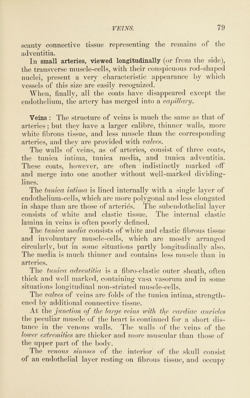 scanty connective tissue representing the remains of the adventitia. In small arteries, viewed longitudinally (or from the side), the transverse muscle-cells, with their conspicuous rod-shaped nuclei, present a very characteristic appearance by which vessels of this size are easily recognized. When, finally, all the coats have disappeared except the endothelium, the artery lias merged into a capillary. Veins : The structure of veins is much the same as that of arteries; but they have a larger calibre, thinner walls, more white fibrous tissue, and less muscle than the corresponding arteries, and they are provided with valves. The walls of veins, as of arteries, consist of three coats, the tunica intima, tunica media, and tunica adventitia. These coats, however, are often indistinctly marked off and merge into one another without well-marked dividing- lines. The tunica intima is lined internally with a single layer of <D v endothelium-cells, which are more polygonal and less elongated in shape than are those of arteries. The subendothelial layer consists of white and elastic tissue. The internal elastic lamina in veins is often poorly defined. The tunica media consists of white and elastic fibrous tissue and involuntary muscle-cells, which are mostly arranged circularly, but in some situations partly longitudinally also. The media is much thinner and contains less muscle than in arteries. The tunica adventitia is a fibro-elastic outer sheath, often thick and well marked, containing vasa vasorum and in some situations longitudinal non-striated muscle-cells. The valves of veins are folds of the tunica intima, strength- ened by additional connective tissue. «/ At the junction of the large veins with the cardiac auricles the peculiar muscle of the heart is continued for a short dis- tance in the venous walls. The walls of the veins of the lower extremities are thicker and more muscular than those of the upper part of the body. The venous sinuses of the interior of the skull consist of an endothelial layer resting on fibrous tissue, and occupy