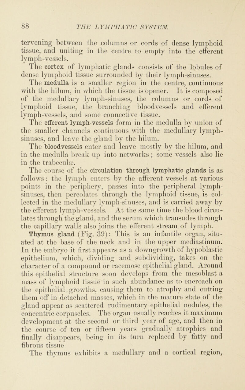 tervening between the columns or cords of dense lymphoid tissue, and uniting in the centre to empty into the efferent lymph-vessels. The cortex of lymphatic glands consists of the lobules of dense lymphoid tissue surrounded by their lymph-sinuses. The medulla is a smaller region in the centre, continuous with the hilum, in which the tissue is opener. It is composed of the medullary lymph-sinuses, the columns or cords of lymphoid tissue, the branching bloodvessels and efferent lymph-vessels, and some connective tissue. The efferent lymph-vessels form in the medulla by union of the smaller channels continuous with the medullary lymph- sinuses, and leave the gland by the hilum. The bloodvessels enter and leave mostly by the hilum, and in the medulla break up into networks; some vessels also lie in the trabeculae. The course of the circulation through lymphatic glands is as follows : the lymph enters by the afferent vessels at various points in the periphery, passes into the peripheral lymph- sinuses, then percolates through the lymphoid tissue, is col- lected iu the medullary lymph-sinuses, and is carried away bv the efferent lymph-vessels. At the same time the blood circu- lates through the gland, and the serum which transudes through the capillary walls also joins the efferent stream of lymph. Thymus gland (Fig. 39): This is an infantile organ, situ- ated at the base of the neck and in the upper mediastinum. In the embryo it first appears as a downgrowth of hypoblastic epithelium, which, dividing and subdividing, takes on the character of a compound or racemose epithelial gland. Around this epithelial structure soon develops from the mesoblast a mass of lymphoid tissue in such abundance as to encroach on the epithelial growths, causing them to atrophy and cutting them off in detached masses, which in the mature state of the gland appear as scattered rudimentary epithelial nodules, the concentric corpuscles. The organ usually reaches it maximum development at the second or third year of age, and then in the course of ten or fifteen years gradually atrophies and finally disappears, being in its turn replaced by fatty and fibrous tissue The thymus exhibits a medullary and a cortical region,