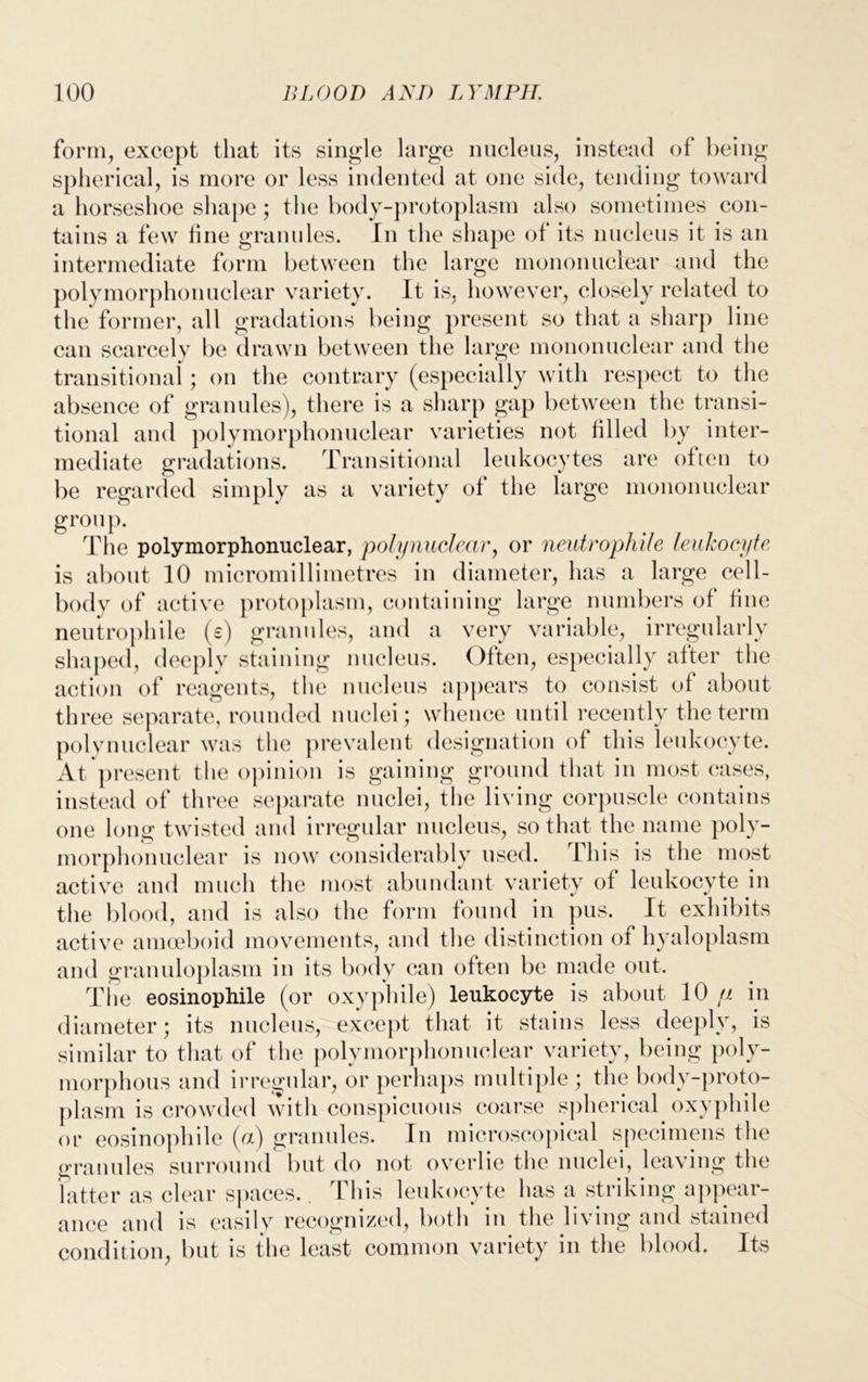 form, except that its single large nucleus, instead of being spherical, is more or less indented at one side, tending toward a horseshoe shape; the body-protoplasm also sometimes con- tains a few tine granules. In the shape of its nucleus it is an intermediate form between the large mononuclear and the polymorphonuclear variety. It is, however, closely related to the former, all gradations being present so that a sharp line can scarcely be drawn between the large mononuclear and the transitional ; on the contrary (especially with respect to the absence of granules), there is a sharp gap between the transi- tional and polymorphonuclear varieties not tilled by inter- mediate gradations. Transitional leukocytes are often to be regarded simply as a variety of the large mononuclear group. The polymorphonuclear, polynuclear, or neutrophile leukocyte is about 10 micromillimetres in diameter, has a large cell- body of active protoplasm, containing large numbers of tine neutrophile (s) granules, and a very variable, irregularly shaped, deeply staining nucleus. Often, especially after the action of reagents, the nucleus appears to consist of about three separate, rounded nuclei; whence until recently the term polynuclear was the prevalent designation of this leukocyte. At present the opinion is gaining ground that in most cases, instead of three separate nuclei, the living corpuscle contains one long twisted and irregular nucleus, so that the name poly- morphonuclear is now considerably used. This is the most active and much the most abundant variety of leukocyte in the blood, and is also the form found in pus. It exhibits active amoeboid movements, and the distinction of hyaloplasm and granuloplasm in its body can often be made out. The eosinophile (or oxyphile) leukocyte is about 10 fi in diameter; its nucleus, except that it stains less deeply, is similar to that of the polymorphonuclear variety, being poly- morphous and irregular, or perhaps multiple ; the body-proto- plasm is crowded with conspicuous coarse spherical oxyphile or eosinophile («) granules. In microscopical specimens the granules surround but do not overlie the nuclei, leaving the latter as clear spaces. 1 his leukocyte has a striking appear- ance and is easily recognized, both in the living and stained condition, but is the least common variety in the blood. Its