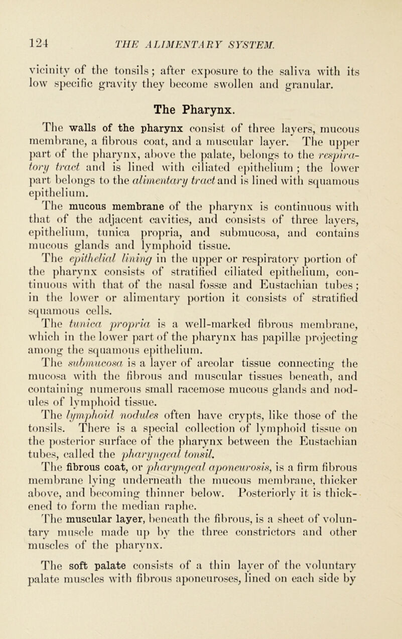 vicinity of the tonsils; after exposure to the saliva with its low specific gravity they become swollen and granular. The Pharynx. The walls of the pharynx consist of three layers, mucous membrane, a fibrous coat, and a muscular layer. The upper part of the pharynx, above the palate, belongs to the respira- tory tract, and is lined with ciliated epithelium ; the lower The mucous membrane of the pharynx is continuous with that of the adjacent cavities, and consists of three layers, epithelium, tunica propria, and submucosa, and contains mucous glands and lymphoid tissue. The epithelial lining in the upper or respiratory portion of the pharynx consists of stratified ciliated epithelium, con- tinuous with that of the nasal fossse and Eustachian tubes; in the lower or alimentary portion it consists of stratified squamous cells. The tunica propria is a well-marked fibrous membrane, which in the lower part of the pharynx has papillae projecting among the squamous epithelium. The submucosa is a layer of areolar tissue connecting the mucosa with the fibrous and muscular tissues beneath, and containing numerous small racemose mucous glands and nod- o o ules of lymphoid tissue. The lymphoid nodules often have crypts, like those of the tonsils. There is a special collection of lymphoid tissue on the posterior surface of the pharynx between the Eustachian tubes, called the pharyngeal tonsil. T1 le fibrous coat, or pharyngeal aponeurosis, is a firm fibrous membrane lying underneath the mucous membrane, thicker above, and becoming thinner below. Posteriorly it is thick- ened to form the median raphe. Fhe muscular layer, beneath the fibrous, is a sheet of volun- tary muscle made up by the three constrictors and other muscles of the pharynx. The soft palate consists of a thin layer of the voluntary palate muscles with fibrous aponeuroses, lined on each side by