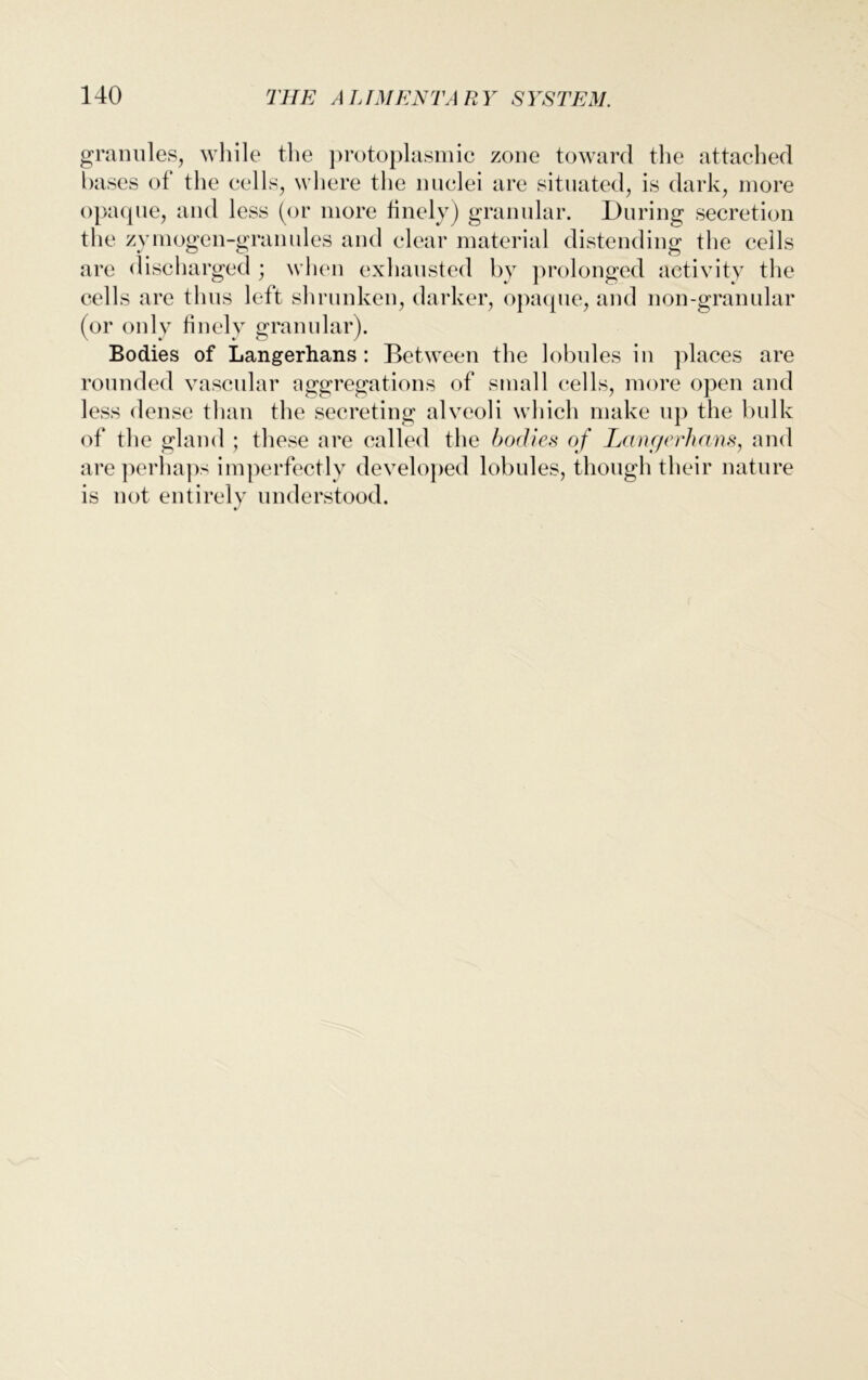 granules, while the protoplasmic zone toward the attached bases of the cells, where the nuclei are situated, is dark, more opaque, and less (or more finely) granular. During secretion the zymogen-granules and clear material distending the cells are discharged ; when exhausted by prolonged activity the cells are thus left shrunken, darker, opaque, and non-granular (or only finely granular). Bodies of Langerhans : Between the lobules in places are rounded vascular aggregations of small cells, more open and less dense than the secreting alveoli which make up the bulk of the gland ; these are called the bodies of Langerhans, and are perhaps imperfectly developed lobules, though their nature is not entirely understood.