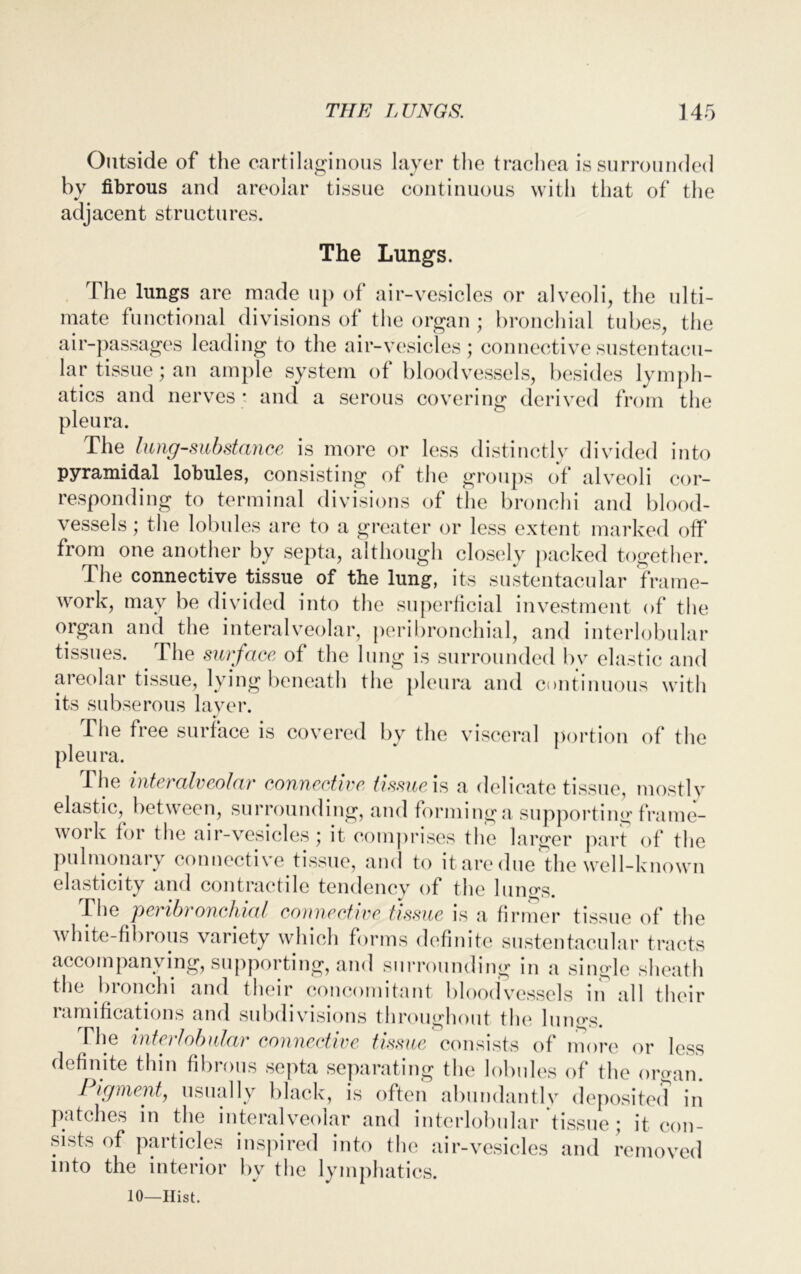 Outside of the cartilaginous layer the trachea is surrounded by fibrous and areolar tissue continuous with that of the adjacent structures. The Lungs. The lungs are made up of air-vesicles or alveoli, the ulti- mate functional divisions of the organ ; bronchial tubes, the air-passages leading to the air-vesicles; connective sustentacu- lar tissue; an ample system of bloodvessels, besides lymph- atics and nerves * and a serous covering derived from the pleura. The lung-substayice is more or less distinctly divided into pyramidal lobules, consisting of the groups of alveoli cor- responding to terminal divisions of the bronchi and blood- vessels ; the lobules are to a greater or less extent marked off from one another by septa, although closely packed together. The connective tissue of the lung, its sustentacular frame- work, may be divided into the superficial investment of the organ and the interalveolar, peribronchial, and interlobular tissues. The surface of the lung is surrounded bv elastic and areolar tissue, lying beneath the pleura and continuous with its subserous layer. The free surface is covered by the visceral portion of the pleura. The interalveolar connective tissue is a delicate tissue, mostly elastic, between, surrounding, and forminga supporting frame- work for the air-vesicles; it comprises the larger part of the pulmonary connective.tissue, and to it are due the well-known elasticity and contractile tendency of the lungs. The peribronchial connective tissue is a firmer tissue of the white-fibrous variety which forms definite sustentacular tracts accompanying, supporting, and surrounding in a single sheath the bronchi and their concomitant bloodvessels in all their ramifications and subdivisions throughout the lungs. The interlobular connective tissue consists of more or less definite thin fibrous septa separating the lobules of the organ. I igment, usually black, is often abundantly deposited in patches in the interalveolar and interlobular tissue ; it con- sists of particles inspired into the air-vesicles and removed into the interior bv the lymphatics. 10—Hist.