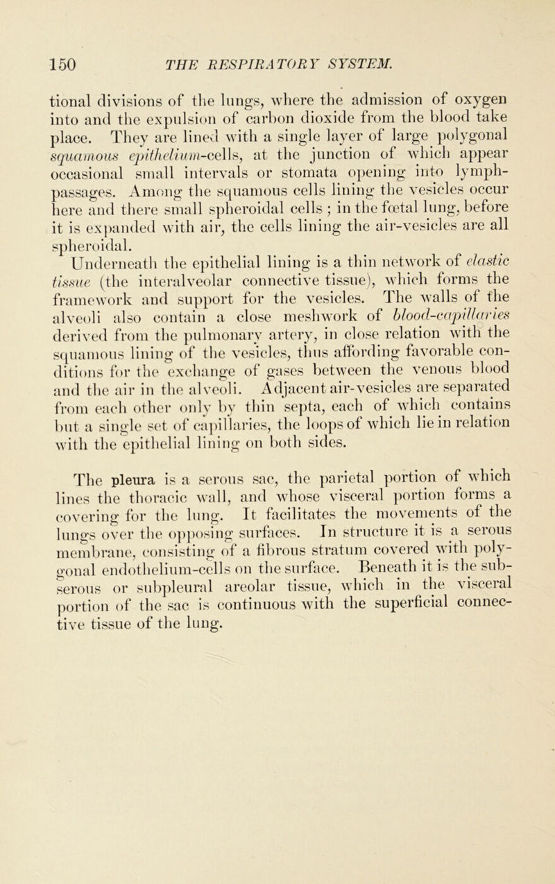 tional divisions of the lungs, where the admission of oxygen into and the expulsion of carbon dioxide from the blood take place. They are lined with a single layer of large polygonal squamous epithelium-cells, at the junction of which appear occasional small intervals or stomata opening into lymph- passages. Among the squamous cells lining the vesicles occur here and there small spheroidal cells; in the foetal lung, before it is expanded with air, the cells lining the air-vesicles are all spheroidal. Underneath the epithelial lining is a thin network of elastic tissue (the interalveolar connective tissue), which forms the framework and support for the vesicles. The walls of the alveoli also contain a close meshwork of blood-capillaries derived from the pulmonary artery, in close relation with the squamous lining of the vesicles, thus affording favorable con- ditions for the exchange of gases between the venous blood and the air in the alveoli. Adjacent air-vesicles are separated from each other only by thin septa, each of which contains but a single set of capillaries, the loops of which lie in relation with the epithelial lining on both sides. The pleura is a serous sac, the parietal portion of which lines the thoracic wall, and whose visceral portion forms a covering for the lung. It facilitates the movements of the lungs over the opposing surfaces. In structure it is a serous membrane, consisting of a fibrous stratum covered with poly- gonal endothelium-cells on the surface. Beneath it is the sub- serous or subpleural areolar tissue, which in the visceral portion of the sac is continuous with the superficial connec- tive tissue of the lung.