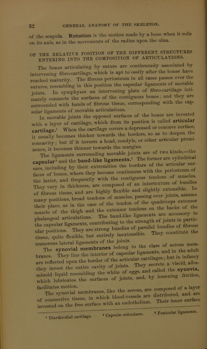 of the scapula. Rotation is the motion made by a bone when it rolls on its axis, as in the movements of the radius upon the ulna. OP THE RELATIVE POSITION OF THE DIFFERENT STRUCTURES ENTERING INTO THE COMPOSITION OF ARTICULATIONS. The bones articulating by suture are continuously associated by intervening fibro-cartilage, which is apt to ossify after the bones have reached maturity. The fibrous periosteum in all cases passes over the sutures, resembling in this position the capsular ligaments of movable ioints. In symphyses an intervening plate of fibro-cartilage inti- mately connects the surfaces of the contiguous bones; and they are surrounded with bands of fibrous tissue, corresponding with the cap- sular ligaments of movable articulations. ^ In movable joints the opposed surfaces of the bones are invested with a layer of cartilage, which from its position is called articular cartilage When the cartilage covers a depressed or concave surface, it usually becomes thicker towards the borders, so as to deepen t e concavity; but if it invests a head, condyle, or other articular promi- nence, it becomes thinner towards the margins. The ligaments surrounding movable joints are of wo capsular? and tha band-like ligaments.’ The former are oyl.ndr.eal sacs including by their extremities the borders of the artioulai sui- faces of bones, where they become continuous w.th the periosteum o fte latte, and frequently with the contiguous tendons of muscles. They 1“; ta thictaess. L composed of an intertexture of bundles of fibrous tissue, and are highly flexible and TTVTTiv nositions broad tendons of muscles, passing ovei joints, assume many positio tendon of the quadriceps extensor 0°;*: 1x^0.. tendons ol the backs of the a rpp„ band-like ligaments are accessory to eont^^^ “r fieS: - ”sytll'Cm^rate?bC^o the class >nem branes“ ThTy line the are reflected upon the border of the u.^a ca.tdag^^^^ b ^ they invest the entire cavity of joints. ^ ^ , svnovia „Md liquid resembling which lubricates the surfaces of joints, and, by lessening “trmembranes, like the serous, are -l-ed »f a la^ of connective tissue, in -Wch blood-vessels are invested on the free surface with an endothelium, iliei. — sdlcuisies. • yuaicular ligsmen..