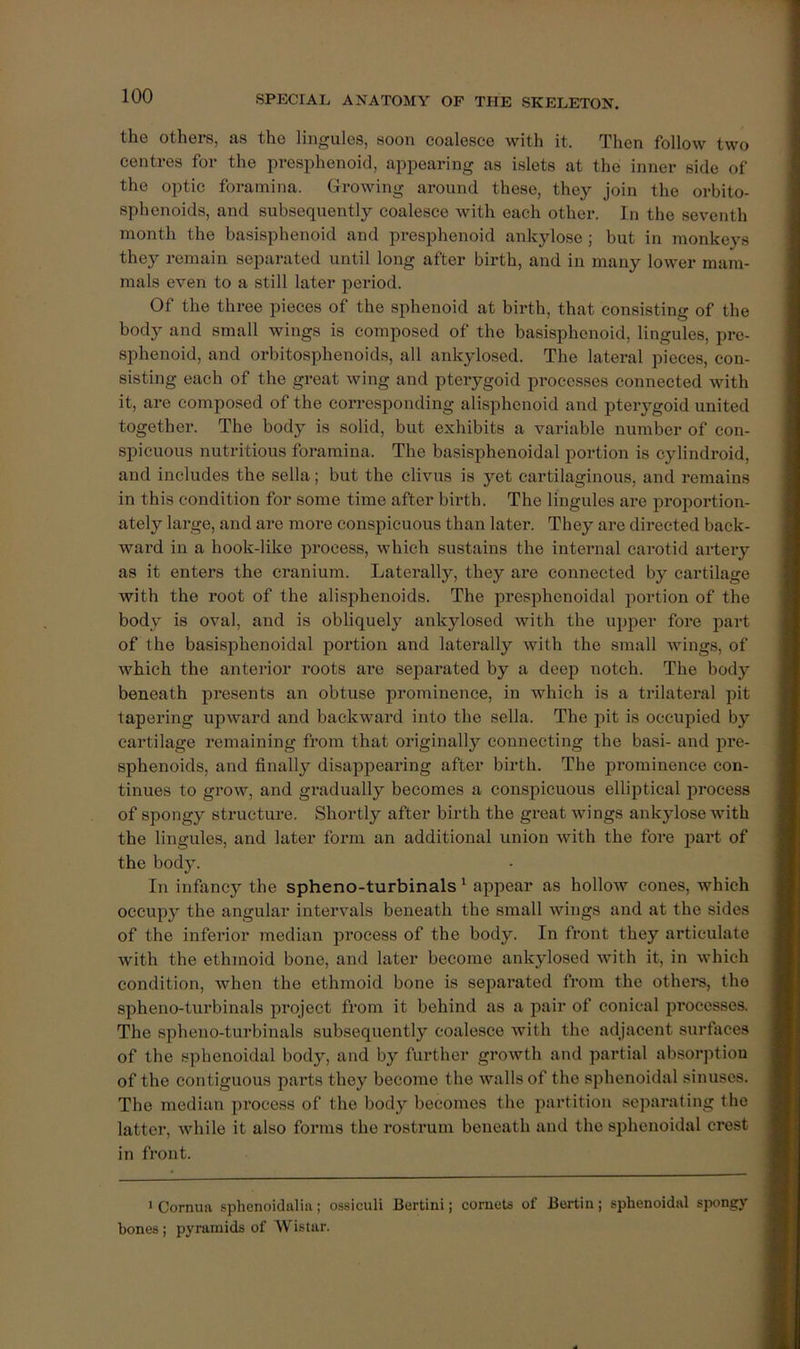 the others, as the lingules, soon coalesce with it. Then follow two centres for the presphenoid, appearing as islets at the inner side of the optic foramina. Growing around these, they join the orbito- sphenoids, and subsequently coalesce with each other. In the seventh month the basisphenoid and presphenoid ankylose; but in monkeys they remain separated until long after birth, and in many lower mam- mals even to a still later period. Of the three pieces of the sphenoid at birth, that consisting of the body and small wings is composed of the basisphenoid, lingules, pre- sphenoid, and orbitosphenoids, all ankylosed. The lateral pieces, con- sisting each of the great wing and pterygoid pi’occsses connected with it, are composed of the corresponding alisphenoid and pterygoid united together. The body is solid, but exhibits a variable number of con- spicuous nutritious foramina. The basisphenoidal portion is cylindroid, and includes the sella; but the clivus is yet cartilaginous, and remains in this condition for some time after birth. The lingules ai’e proportion- ately large, and are more conspicuous than later. They are directed back- ward in a hook-like pi’ocess, which sustains the internal carotid artery as it enters the cranium. Laterally, they are connected by cartilage with the root of the alisphenoids. The presphenoidal portion of the body is oval, and is obliquely ankylosed with the upper fore part of the basisphenoidal portion and laterally with the small wings, of which the anterior roots are separated by a deep notch. The body beneath presents an obtuse prominence, in which is a trilateral pit tapering upward and backward into the sella. The pit is occupied b}’- cartilage remaining from that originally connecting the basi- and pre- sphenoids, and finally disappearing after birth. The prominence con- tinues to grow, and gradually becomes a conspicuous elliptical process of spongy structure. Shortly after birth the great wings ankylose with the lingules, and later fonn an additional union with the fore part of the body. In infancy the spheno-turbinals '■ appear as hollow cones, which occupy the angular intervals beneath the small wings and at the sides of the inferior median process of the body. In front they articulate with the ethmoid bone, and later become ankylosed Avith it, in which condition, Avhen the ethmoid bone is separated from the othei*s, the spheno-turbinals project from it behind as a pair of conical processes. The spheno-turbinals subsequently coalesce Avith the adjacent surfaces of the sphenoidal body, and by further groAvth and partial absorptiou of the contiguous parts they become the Avails of the sphenoidal sinuses. The median process of the body becomes the partition sej)arating the latter, Avhile it also forms the rostrum beneath and the sphenoidal crest in front. 1 Cornua sphenoidalin; ossiculi Bertini; cornets of Bertin; sphenoidal spongy bones; pyramids of Wistar.