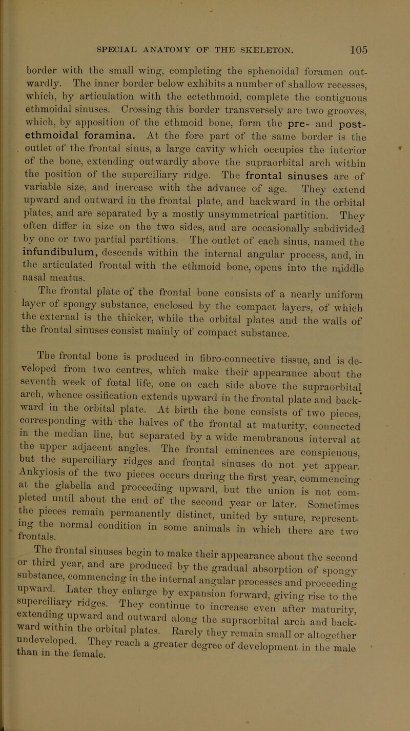 border with the small wing, eomjiloting the siihenoidal foramen out- wardly. The inner border below exhibits a number of shallow recesses, which, by articulation with the ectethmoid, complete the contiguous ethmoidal sinuses. Crossing this border transversely are two grooves, which, by apposition of the ethmoid bone, form the pre- and post- ethmoidal foramina. At the fore part of the same border is the . outlet of the frontal sinus, a large cavity which occupies the interior of the bone, extending outwardly above the supraorbital arch within the position of the superciliary ridge. The frontal sinuses are of variable size, and increase with the advance of age. They extend upward and outward in the frontal plate, and backward in the orbital i plates, and are separated by a mostly unsymmetrical partition. They I often differ in size on the two sides, and are occasionally subdivided ; by one or two partial partitions. The outlet of each sinus, named the j infundibulum, descends within the internal angular process, and, in I the articulated frontal with the ethmoid bone, opens into the middle i nasal meatus. I The ft ontal plate of the frontal bone consists of a nearly uniform I of spongy substance, enclosed by the compact layers, of which I the external is the thicker, while the orbital plates and the walls of ! the frontal sinuses consist mainly of compact substance. i The frontal bone is produced in fibro-eonnective tissue, and is de- veloped from two centres, which make their appearance about the seventh week of foetal life, one on each side above the supraorbital arch, whence ossification extends upward in the frontal plate and back- ward in the orbital plate. At birth the bone consists of two pieces corresponding with the halves of the frontal at maturity, connected m the median line, but separated by a wide membranous interval at the upper adjacent angles. The frontal eminences are conspicuous but the superciliary ridges and frontal sinuses do not yet appear! Ankylosis of the two pieces occurs during the first year, commencing at the glabella and proceeding upward, but the union is not com- peted until about the end of the second year or later. Sometimes t le pieces remain permanently distinct, united by suture, represent- fmntall condition in some animals in which there are two The frontal sinuses begin to make their appearance about the second 01 third year, and are produced by the gradual absorption of spono-y unw' proceeding p aid Later they enlarge by expansion forward, giving rise to the uperc.l.a.y r.dge. They eontieue to inct-eaee even aftel- ntaUn-ity ward t t? ‘.r supraorbital arch and baefc rilTo , ®“rely they retain email or altogether than in the fentak ^ ‘‘o^'olopnont in the male