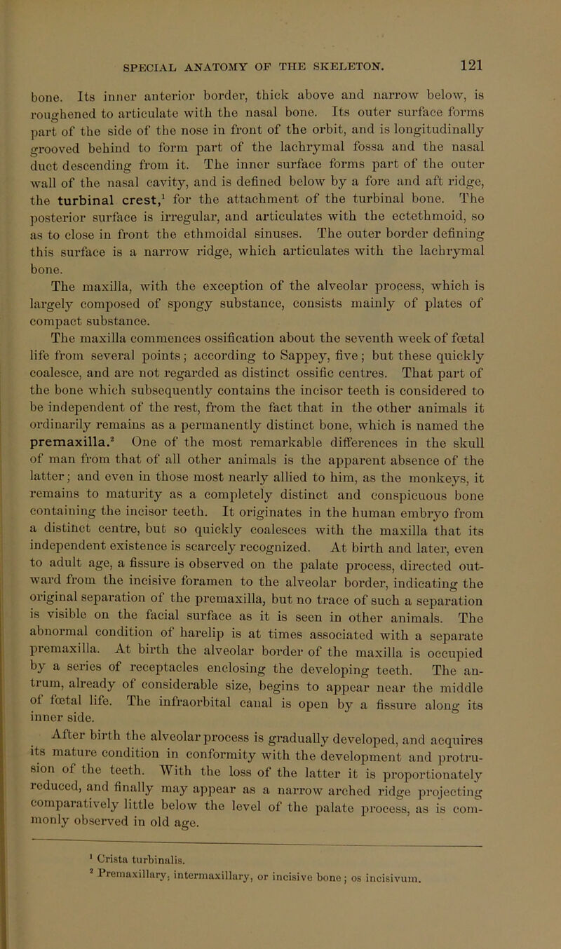 bone. Its inner anterior border, thick above and narrow below, is roughened to articulate with the nasal bone. Its outer surface forms ])art of the side of the nose in front of the orbit, and is longitudinally grooved behind to form part of the lachrymal fossa and the nasal duct descending from it. The inner surface forms part of the outer wall of the nasal cavity, and is defined below by a fore and aft ridge, the turbinal crest,^ for the attachment of the turbinal bone. The posterior surface is irregular, and articulates with the ectethmoid, so as to close in front the ethmoidal sinuses. The outer border defining this surface is a narrow ridge, which articulates with the lachrymal bone. The maxilla, with the exception of the alveolar process, which is largely composed of spongy substance, consists mainly of plates of compact substance. The maxilla commences ossification about the seventh week of foetal life from several points; according to Sappey, five; but these quickly coalesce, and are not regarded as distinct ossific centres. That part of the bone which subsequently contains the incisor teeth is considered to be independent of the rest, from the fact that in the other animals it ordinarily remains as a permanently distinct bone, which is named the premaxilla.^ One of the most remarkable ditferences in the skull of man from that of all other animals is the apparent absence of the latter; and even in those most nearly allied to him, as the monkeys, it remains to maturity as a completely distinct and conspicuous bone containing the incisor teeth. It originates in the human embiyo from a distinct centre, but so quickly coalesces with the maxilla that its independent existence is scarcely recognized. At birth and later, even to adult age, a fissure is observed on the palate process, directed out- ward from the incisive foramen to the alveolar border, indicating the original sepai’ation of the premaxilla, but no trace of such a separation is visible on the facial surface as it is seen in other animals. The abnormal condition of harelip is at times associated with a separate piemaxilla. At birth the alveolar border of the maxilla is occupied by a series of receptacles enclosing the developing teeth. The an- ti um, already of considerable size, begins to appear near the middle of foetal life. The infraorbital canal is open by a fissui’e along its inner side. After birth the alveolar process is gradually developed, and acquires its mature condition in conformity with the development and protru- sion of the teeth. With the loss of the latter it is proportionately reduced, and finally may appear as a narrow arched ridge projecting comparatively little below the level of the palate process, as is com- monly observed in old age. * Crista turbinalis. * Premaxillary, intermaxillary, or incisive bone; os incisivuin.