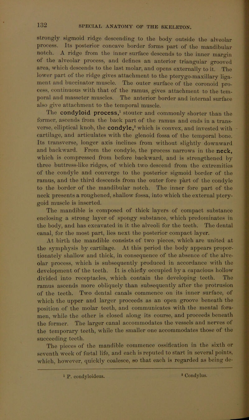 Strongly sigmoid ridge descending to the body outside the alveolar process. Its posterior concave border forms part of the mandibular notch. A ridge from the inner surface descends to the inner margin of the alveolar process, and defines an anterior triangular grooved ai’ea, which descends to the last molar, and opens externally to it. The lower part of the ridge gives attachment to the pterygo-maxillary liga- ment and buccinator muscle. The outer suiTace of the eoronoid pro- cess, continuous with that of the ramus, gives attachment to the tem- poral and masseter muscles. The anterior border and internal surface also give attachment to the temporal muscle. The condyloid process,^ stouter and commonly shorter than the former, ascends from the back part of the ramus and ends in a trans- verse, elliptical knob, the condyle,* which is convex, and invested with cartilage, and articulates with the glenoid fossa of the temporal bone. Its ti-ansverse, longer axis inclines from without slightly downward and backward. From the condyle, the process narrows in the neck, which is compressed from before backward, and is strengthened by three buttress-like ridges, of which two descend from the extremities of the condyle and converge to the posterior sigmoid border of the ramus, and the third descends from the outer fore part of the condyle to the border of the mandibular notch. The inner fore part of the neck presents a roughened, shallow fossa, into which the external ptery- goid muscle is inserted. The mandible is composed of thick layers of compact substance enclosing a strong layer of spongy substance, which predominates in the body, and has excavated in it the alveoli for the teeth. The dental canal, for the most part, lies next the jDosterior compact layer. At birth the mandible consists of two pieces, which are united at the symphysis by cartilage. At this period the body appears propor- tionately shallow and thick, in consequence of the absence of the alve- olar process, which is subsequently produced in accordance with the development of the teeth. It is chiefly occupied by a capacious hollow divided into receptacles, which contain the developing teeth. The ramus ascends more obliquely than subsequently after the protrusion of the teeth. Two dental canals commence on its inner surface, of which the upper and larger proceeds as an open groove beneath the position of the molar teeth, and communicates with the mental fora- men, Avhile the other is closed along its eour.se, and proceeds beneath the former. The larger canal accommodates the vessels and nerves of the temporary teeth, while the smaller one accommodates those of the succeeding teeth. The pieces of the mandible commence ossification in the sixth or seventh week of foetal life, and each is reputed to start in several points, which, however, quickly coalesce, so that each is regarded as being de- * P. condyloideus. * Condylus.