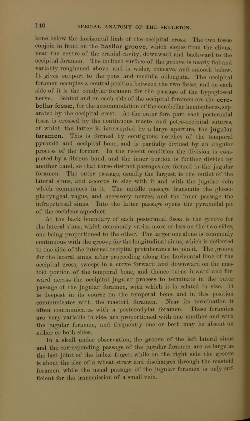 bone below the horizontal limb of the occipital cross. The two fossae conjoin in front on the basilar groove, which slopes from the clivus, near the centre of the cranial cavity, downward and backward to tbe occipital foramen. The inclined surface of the groove is nearly flat and variably roughened above, and is wider, concave, and smooth below. It gives support to the pons and medulla oblongata. The occipital foramen occupies a central position between the two fosste, and on each side of it is the condylar foramen for the passage of the hypoglossal nerve. Behind and on each side of the occipital foramen are the cere- bellar fossae, for the accommodation of the cerebellar hemispheres, sep- arated by the occipital crest. At the outer fore part each postcranial fossa is crossed by the continuous masto- and petro-occipital sutures, of which the latter is interrupted by a large aperture, the jugular foramen. This is formed by contiguous notches of the temporal pyramid and occipital bone, and is partially divided by an angular process of the former. In the recent condition the division is com- pleted by a fibrous band, and the inner portion is further divided by another band, so that three distinct jDassages are formed in the jugular foramen. The outer passage, usually the largest, is the outlet of the lateral sinus, and accords in size with it and with the jugular vein which commences in it. The middle passage transmits the glosso- pharyngeal, vagus, and accessory nerves, and the inner passage the infrapetrosal sinus. Into the latter passage opens the pyramidal pit of the cochlear aqueduct. At the back boundary of each postcranial fossa is the groove for the lateral sinus, which commonly varies more or less on the two sides, one being proportioned to the other. The lai’ger one alone is commonly continuous with the groove for the longitudinal sinus, which is deflected to one side of the internal occipital protuberance to join it. The groove for the lateral sinus, after proceeding along the horizontal limb of the occipital cross, sweeps in a curve forward and downward on the mas- toid portion of the temporal bone, and thence turns inwai-d and for- ward across the occipital jugular process to terminate in the outer passage of the jugular foramen, with which it is related in size. It is deepest in its course on the temporal bone, and in this position communicates with the mastoid foramen. Hear its termination it often communicates with a postcondylar foramen. These foramina are very variable in size, are proportioned with one another and with the jugular foramen, and frequently one or both may bo absent on either or both sides. In a skull under observation, the groove of the loft lateral sinus and the corresponding passage of the jugular foramen are as large as the last joint of the index finger, while on the right side the groove is about the size of a wheat straw and discharges through the mastoid foramen, while the usual passage of the jugular foramen is only suf- ficient for the transmission of a small vein.