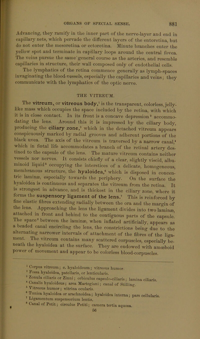 Advancing, they ramify in the inner part of the nerve-layer and end in capillary nets, which pervade the different layers of the entoretina, but do not enter the mesoretina or eetoretina. Minute branches enter the yellow spot and terminate in capillary loops around the central fovea. The veins pursue the same'general course as the arteries, and resemble capillaries in structure, their wall composed only of endothelial cells. The lymphatics of the retina commence generally as lymph-spaces invaginating the blood-vessels, especially the capillaries and veins; they communicate with the lymphatics of the optic nerve. THE VITEEUM. The vitreum, or vitreous body,* * is the transparent, colorless, jelly- like mass which occupies the sf>ace included by the retina, with which it is in close contact. In its front is a concave depression ^ accommo- dating the lens. Around this it is impressed by the ciliary body, producing the ciliary zone,* which in the detached vitreum appears conspicuously marked by radial grooves and adhei’ent jiortions of the black uvea. The axis of the vitreum is traversed by a narrow canal,^ which in foetal life accommodates a branch of the retinal artery des- tined to the capsule of the lens. The mature vitreum contains neither vessels noi nerves. It consists chiefly of a clear, slightly viscid, albu- minoid liquid® occupying the interstices of a delicate, homogeneous, membranous structure, the hyaloidea,® which is disposed in concen- tric laminjB, especially towards the periphery. On the surface the hyaloidea is continuous and separates the vitreum from the retina. It is strongest in advance, and is thickest in the ciliary zone, where it forms the suspensory Hgament of the lens.’ This is reinforced by fine elastic fibres extending radially between the ora and the margin of the lens. Approaching the lens the ligament divides into two laminse, attached in front and behind to the contiguous parts of the capsule! The space® between the laminae, when inflated artificially, appears as a beaded canal encircling the lens, the constrictions being due to the alternating narrower intervals of attachment of the fibres of the liga- ment. The vitreum contains many scattered corpuscles, especially be- neath the hyaloidea at the surface. They are endowed with amoeboid power of movement and appear to be colorless blood-corpuscles. * Corpus vitreum; c. hyaloideum; vitreous humor. “ Fossa hyaloidea, patellaris, or lenticularis. ® Zonula ciliaris or Zinni; orbiculus capsulo-ciliaris ; lamina ciliaris. * Canalis hyaloideus; area Martegiani; canal of Stilling. ® Vitreous humor ; vitrina ocularis. ® Tunica hyaloidea or arachnoidea; hyaloidea interna; pars cellularis. Ligamentum suspensorium lentis. ® Canal of Petit; circulus Petiti; camera tertia aquosa. 56