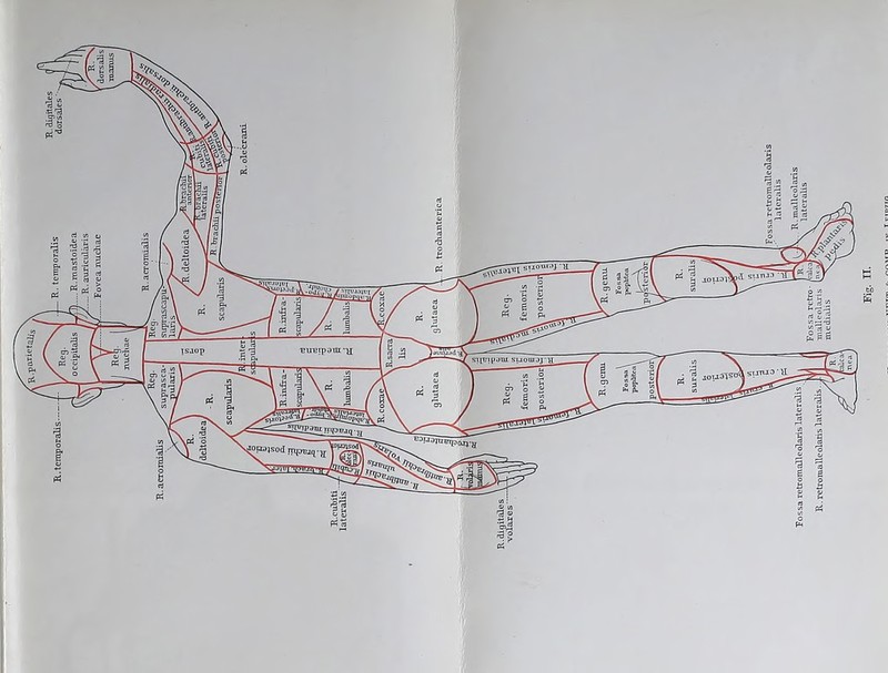 ’llr ■•■! t-[ >SggpaJ; srrpiaiut 'BUBipata-y si[Cipoui suouijj h ■^rrvipauf ?ppt?jqj, RD'JopzFijoarj- )UD)S0d^ sJOraajsod