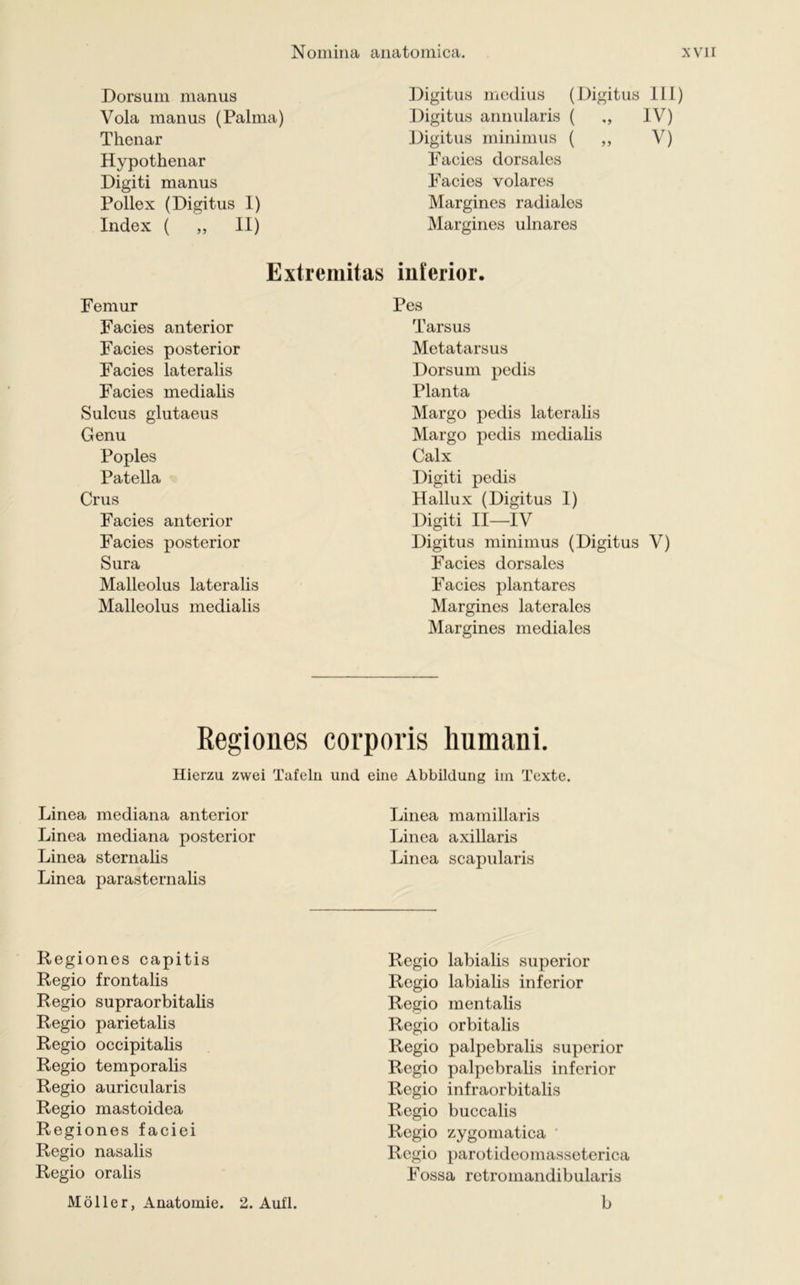 Dorsum manus Vola manus (Palma) Thenar Hypothenar Digiti manus Pollex (Digitus 1) Index ( „ II) Extremitas Femur Facies anterior Facies posterior Facies lateralis Facies medialis Sulcus glutaeus Genu Poples Patella Crus Facies anterior Facies posterior Sura Malleolus lateralis Malleolus medialis Digitus medius (Digitus 111) Digitus annularis ( ,, IV) Digitus minimus ( „ V) Facies dorsales Facies volares Margines radiales Margines ulnares inferior. Pes Tarsus Metatarsus Dorsum pedis Planta Margo pedis lateralis Margo pedis medialis Calx Digiti pedis Hallux (Digitus 1) Digiti II—IV Digitus minimus (Digitus V) Facies dorsales Facies plantares Margines laterales Margines mediales Regiones corporis humani. Hierzu zwei Tafeln und eine Abbildung im Texte. Linea mediana anterior Linea mediana posterior Linea sternalis Linea parasternalis Regiones capitis Regio frontalis Regio supraorbitalis Regio parietalis Regio occipitalis Regio temporalis Regio auricularis Regio mastoidea Regiones faciei Regio nasalis Regio oralis Möller, Anatomie. 2. Aufl. Linea mamillaris Linea axillaris Linea scapularis Regio labialis superior Regio labialis inferior Regio mentalis Regio orbitalis Regio palpebralis superior Regio palpebralis inferior Regio infraorbitalis Regio buccalis Regio zygomatica Regio parotideomasseterica Fossa retromandibularis b