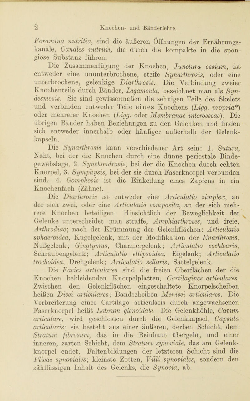F oramina nutritia, sind die äußeren Öffnungen der Ernährungs- kanäle, Canales nutritii, die durch, die kompakte in die spon- giöse Substanz führen. Die Zusammenfügung der Knochen, Junctura ossium, ist entweder eine ununterbrochene, steife Synarthj'osis, oder eine unterbrochene, gelenkige Diarthrosis. Die Verbindung zweier Knochenteile durch Bänder, Ligamenta, bezeichnet man als Syn- desmosis. Sie sind gewissermaßen die sehnigen Teile des Skelets und verbinden entweder Teile eines Knochens (Ligg. propria*) oder mehrerer Knochen {Ligg. oder Membranae interosseae). Die übrigen Bänder haben Beziehungen zu den Gelenken und finden sich entweder innerhalb oder häufiger außerhalb der Gelenk- kapseln. Die Synarthrosis kann verschiedener Art sein: 1. Sutura, Naht, bei der die Knochen durch eine dünne periostale Binde- gewebslage, 2. Synchondrosis, bei der die Knochen durch echten Knorpel, 3. Symphysis, bei der sie durch Faserknorpel verbunden sind. 4. Gomphosis ist die Einkeilung eines Zapfens in ein Knochenfach (Zähne). Die Diarthrosis ist entweder eine Articulatio simplex, an der sich zwei, oder eine Articulatio composita, an der sich meh- rere Knochen beteiligen. Hinsichtlich der Beweglichkeit der Gelenke unterscheidet man straffe, Amphiarthroses, und freie, Arthrodiae; nach der Krümmung der Gelenkflächen: Articulatio sphaeroidea, Kugelgelenk, mit der Modifikation der Enarthrosis, Nußgelenk; Ginglymus, Charniergelenk; Articulatio cochlearis, Schraubengelenk; Articulatio ellipsoidea, Eigelenk; Articulatio trochoidea, Drehgelenk; Articulatio sellaris, Sattelgelenk. Die Facies articulares sind die freien Oberflächen der die Knochen bekleidenden Knorpelplatten, Cartilagines articulares. Zwischen den Gelenkflächen eingeschaltete Knorpelscheiben heißen Disci articulares; Bandscheiben Menisci articulares. Die Verbreiterung einer Cartilago articularis durch angewachsenen Easerknorpel heißt Labrum glenoidale. Die Gelenkhöhle, Cavum articulare, wird geschlossen durch die Gelenkkapsel, Capsula articularis; sie besteht aus einer äußeren, derben Schicht, dem Stratum fibrosum, das in die Beinhaut übergeht, und einer inneren, zarten Schicht, dem Stratum synoviale, das am Gelenk- knorpel endet. Faltenbildungen der letzteren Schicht sind die Plicae synoviales; kleinste Zotten, Villi sy7ioviales, sondern den zähflüssigen Inhalt des Gelenks, die Synovia, ab.