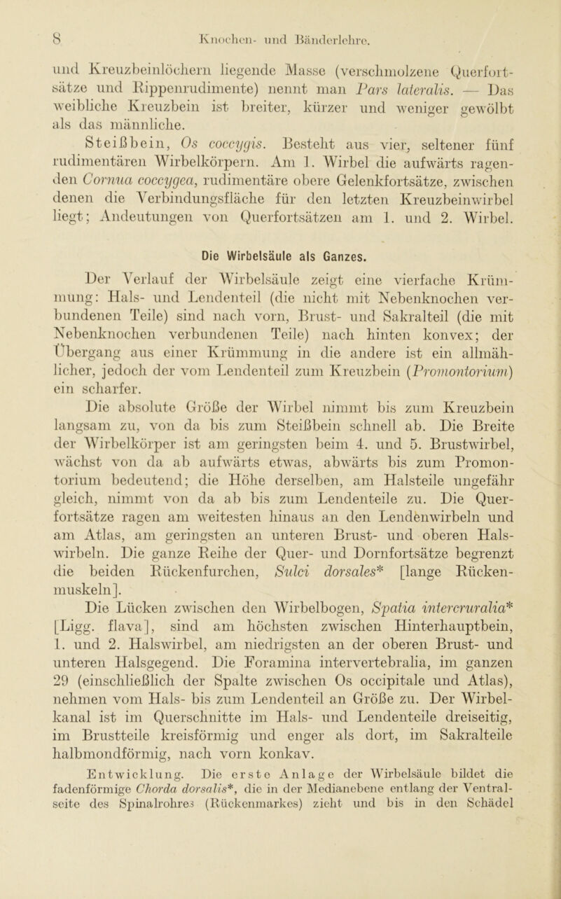 und Kreuzbeinlöchern liegende Masse (verschmolzene Querfort- sätze und Kippenrudimente) nennt man Pars lateralis. — Das weibliche Kreuzbein ist breiter, kürzer und weniger gewölbt als das männliche. Steißbein, Os coccygis. Besteht aus vier, seltener fünf rudimentären Wirbelkörpern. Am 1. Wirbel die aufwärts ragen- den Cornua coccygea, rudimentäre obere Gelenkfortsätze, zwischen denen die Verbindungsfläche für den letzten Kreuzbeinwirbel liegt; Andeutungen von Querfortsätzen am 1. und 2. Wirbel. Die Wirbelsäule als Ganzes. Der Verlauf der Wirbelsäule zeigt eine vierfache Krüm- mung: Hals- und Lendenteil (die nicht mit Nebenknochen ver- bundenen Teile) sind nach vorn, Brust- und Sakralteil (die mit Nebenknochen verbundenen Teile) nach hinten konvex; der Tbergang aus einer Krümmung in die andere ist ein allmäh- licher, jedoch der vom Lendenteil zum Kreuzbein (Promontorium) ein scharfer. Die absolute Größe der Wirbel nimmt bis zum Kreuzbein langsam zu, von da bis zum Steißbein schnell ab. Die Breite der Wirbelkörper ist am geringsten beim 4. und 5. Brustwirbel, wächst von da ab aufwärts etwas, abwärts bis zum Promon- torium bedeutend; die Höhe derselben, am Halsteile ungefähr gleich, nimmt von da ab bis zum Lendenteile zu. Die Quer- fortsätze ragen am weitesten hinaus an den Lendenwirbeln und am Atlas, am geringsten an unteren Brust- und oberen Hals- wirbeln. Die ganze Keihe der Quer- und Dornfortsätze begrenzt die beiden Rückenfurchen, Sulci dorsales* [lange Rücken- muskeln]. Die Lücken zwischen den Wirbelbogen, Syatia intercruralia* [Ligg. flava], sind am höchsten zwischen Hinterhauptbein, 1. und 2. Halswirbel, am niedrigsten an der oberen Brust- und unteren Halsgegend. Die Foramina intervertebralia, im ganzen 29 (einschließlich der Spalte zwischen Os occipitale und Atlas), nehmen vom Hals- bis zum Lendenteil an Größe zu. Der Wirbel- kanal ist im Querschnitte im Hals- und Lendenteile dreiseitig, im Brustteile kreisförmig und enger als dort, im Sakralteile halbmondförmig, nach vorn konkav. Entwicklung. Die erste Anlage der Wirbelsäule bildet die fadenförmige Chorda dorsalis*, die in der Medianebene entlang der Ventral- seite des Spinalrohres (Rückenmarkes) zieht und bis in den Schädel
