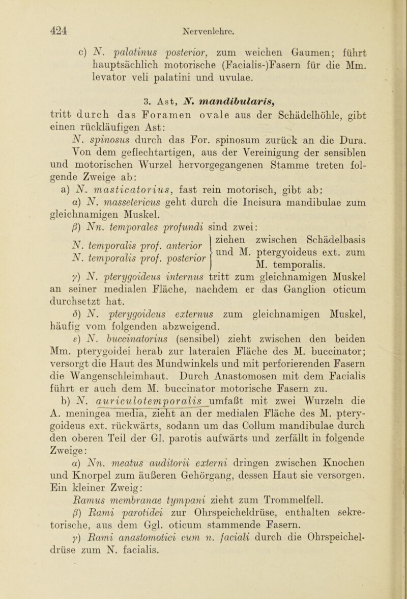 c) N. palatinus 'posterior, zum weichen Gaumen; führt hauptsächlich motorische (Facialis-)Fasern für die Mm. levator veli palatini und uvulae. 3. Ast, iY. mandibularis, tritt durch das Foramen ovale aus der Schädelhöhle, gibt einen rückläufigen Ast: N. spinosus durch das For. spinosum zurück an die Dura. Von dem geflechtartigen, aus der Vereinigung der sensiblen und motorischen Wurzel hervorgegangenen Stamme treten fol- gende Zweige ab: a) N. masticatorius, fast rein motorisch, gibt ab: a) N. 7tiassetericus geht durch die Incisura mandibulae zum gleichnamigen Muskel. ß) N71. temporales profundi sind zwei: ziehen zwischen Schädelbasis N. temporalis prof. anterior N. temporalis prof. posterior und M. ptergyoideus ext. zum M. temporalis. y) N. pterygoideus internus tritt zum gleichnamigen Muskel an seiner medialen Fläche, nachdem er das Ganglion oticum durchsetzt hat. d) N. pterygoideus externus zum gleichnamigen Muskel, häufig vom folgenden abzweigend. e) N. buccinatorius (sensibel) zieht zwischen den beiden Mm. pterygoidei herab zur lateralen Fläche des M. buccinator; versorgt die Haut des Mundwinkels und mit perforierenden Fasern die Wangenschleimhaut. Durch Anastomosen mit dem Facialis führt er auch dem M. buccinator motorische Fasern zu. b) N. auriculote7nporalis umfaßt mit zwei Wurzeln die A. meningea media, zieht an der medialen Fläche des M. ptery- goideus ext. rückwärts, sodann um das Collum mandibulae durch den oberen Teil der Gl. parotis aufwärts und zerfällt in folgende Zweige: a) N71. meatus auditorii externi dringen zwischen Knochen und Knorpel zum äußeren Gehörgang, dessen Haut sie versorgen. Ein kleiner Zweig: Bamus 7nembranae tympani zieht zum Trommelfell. ß) Bami parotidei zur Ohrspeicheldrüse, enthalten sekre- torische, aus dem Ggl. oticum stammende Fasern. y) Bami anastomotici cwn 71. faciali durch die Ohrspeichel- drüse zum N. facialis.