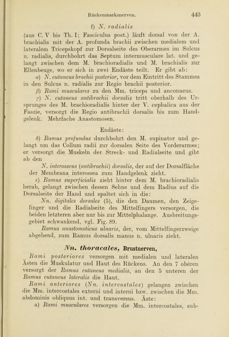 f) N. radialis (aus C. V bis Th. I; Fasciculus post.) läuft dorsal von der A. bracliialis mit der A. profunda brachii zwischen medialem und lateralem Tricepskopf zur Dorsalseite des Oberarmes im Sulcus n. radialis, durchbohrt das Septum intermusculare lat. und ge- langt zwischen dem M. brachioradialis und M. bracliialis zur Ellenbeuge, wo er sich in zwei Endäste teilt. Er gibt ab: a) N. cutaneus brachii 'posterior, vor dem Eintritt des Stammes in den Sulcus n. radialis zur Regio brachii posterior. ß) Rami musculares zu den Mm. triceps und anconaeus. y) N. cutaneus antibrachii dorsalis tritt oberhalb des Ur- sprunges des M. brachioradialis hinter der V. cephalica aus der Faszie, versorgt die Regio antibrachii dorsalis bis zum Hand- gelenk. Mehrfache Anastomosen. Endäste: (5) Ramus profundus durchbohrt den M. supinator und ge- langt um das Collum radii zur dorsalen Seite des Vorderarmes; er versorgt die Muskeln der Streck- und Radialseite und gibt ab den N. interosseus (antibrachii) dorsalis, der auf der Dorsalfläche der Membrana interossea zum Handgelenk zieht. e) Ramus superficialis zieht hinter dem M. brachioradialis herab, gelangt zwischen dessen Sehne und dem Radius auf die Dorsalseite der Hand und spaltet sich in die: Nn. digitales dorsales (5), die den Daumen, den Zeige- finger und die Radialseite des Mittelfingers versorgen, die beiden letzteren aber nur bis zur Mittelphalange. Ausbreitungs- gebiet schwankend, vgl. Fig. 89. Ramus anastomoticus ulnaris, der, vom Mittelfingerzweige abgehend, zum Ramus dorsalis manus n. ulnaris zieht. Nn. thoracales, Brustnerven, Rami posteriores versorgen mit medialen und lateralen Ästen die Muskulatur und Haut des Rückens. An den 7 oberen versorgt der Ramus cutaneus medialis, an den 5 unteren der Ramus cutaneus lateralis die Haut. Rami anteriores (Nn. intercostales) gelangen zwischen die Mm. intercostales externi und interni bzw. zwischen die Mm. abdominis obliquus int. und transversus. Äste: a) Rami musculares versorgen die Mm. intercostales, sub-