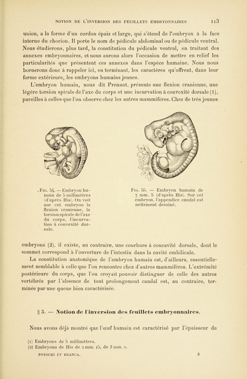 union, a la forme d’un cordon épais et large, qui s’étend de l’embryon à la face interne du chorion. 11 porte le nom de pédicule abdominal ou de pédicule ventral. Nous étudierons, plus tard, la constitution du pédicule ventral, en traitant des annexes embryonnaires, et nous aurons alors l’occasion de mettre en relief les particularités que présentent ces annexes dans l’espèce humaine. Nous nous bornerons donc à rappeler ici, en terminant, les caractères qu’offrent, dans leur forme extérieure, les embryons humains jeunes. L’embryon humain, nous dit Prenant, présente une flexion crânienne, une légère torsion spirale de l’axe du corps et une incurvation à convexité dorsale (1), pareilles à celles que l’on observe chez les autres mammifères. Chez de très jeunes , Fig. 54. — Embryon hu- main de 5 millimètres (d’après His). On voit sur cet embryon la flexion crânienne, la torsion spirale de l’axe du corps, l'incurva- tion à convexité dor- sale. Fig. 55. — Embryon humain de 7 mm. 5 (d’après Ilis). Sur cet embryon, l’appendice caudal est nettement dessiné. embryons (2), il existe, au contraire, une courbure à concavité dorsale, dont le sommet correspond à l’ouverture de l’intestin dans la cavité ombilicale. La constitution anatomique de l’embryon humain est, d’ailleurs, essentielle- ment semblable à celle que l’on rencontre chez d’autres mammifères. L’extrémité postérieure du corps, que l’on croyait pouvoir distinguer de celle des autres vertébrés par l’absence de tout prolongement caudal est, au contraire, ter- minée par une queue bien caractérisée. § O. — Notion de l’inversion des feuillets embryonnaires. Nous avons déjà montré que l’œuf humain est caractérisé par l’épaisseur de (1) Embryons de 5 millimètres. (2) Embryons de Ilis de 2 mm. i5, de 3 mm. 2. POTOCKI ET BRANCA. 8