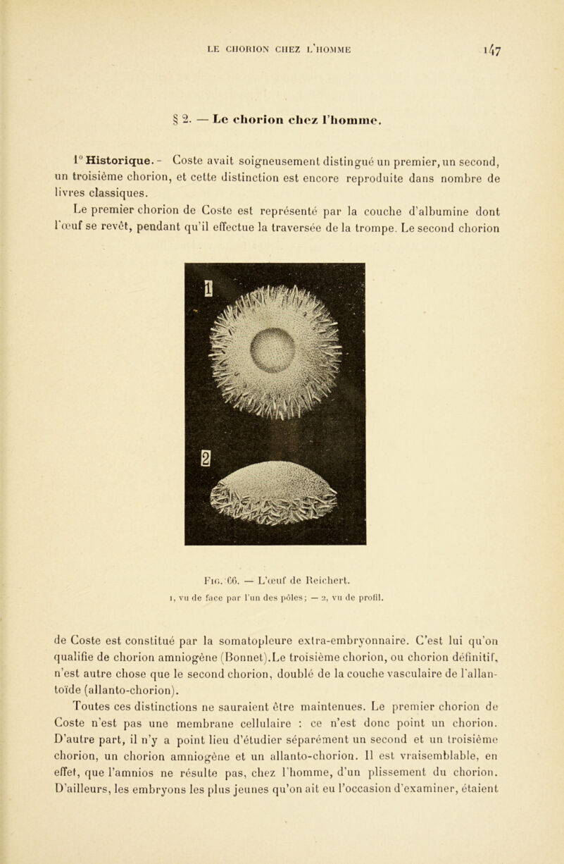 §2. — Le chorîon chez riiomme. 1® Historique. - Coste avait soigneusement distingué un premier, un second, un troisième cliorion, et cette distinction est encore reproduite dans nombre de livres classiques. Le premier chorion de Coste est représenté par la couche d’albumine dont 1 œuf se revet, pendant qu’il effectue la traversée de la trompe. Le second chorion Fk;. C6. — L’œuf de Reichert. 1, vu de face pur l’un des pôles; — 2, vu de prolîl. de Coste est constitué par la somatopleure exlra-embryonnaire. C’est lui qu’on qualifie de chorion amniogène (Bonnet).Le troisième chorion, ou chorion définitif, n’est autre chose que le second chorion, doublé de la couche vasculaire de fallan- toïde (allanto-chorion). Toutes ces distinctions ne sauraient être maintenues. Le premier chorion de Coste n’est pas une membrane cellulaire : ce n’est donc point un chorion. D’autre part, il n’y a point lieu d’étudier séparément un second et un troisième chorion, un chorion amniosfène et un allanto-chorion. 11 est vraisemblable, en effet, que l’amnios ne résulte pas, chez l’homme, d’un plissement du chorion. D’ailleurs, les embryons les plus jeunes qu’on ait eu l’occasion d’examiner, étaient