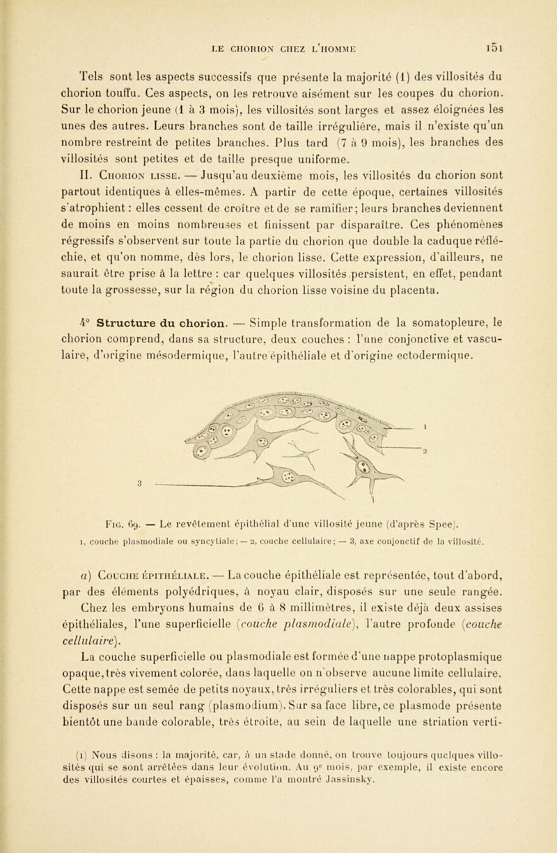 Tels sont les aspects successifs que présente la majorité (1) des villosités du chorion touffu. Ces aspects, on les retrouve aisément sur les coupes du chorion. Sur le chorion jeune (1 à 3 mois), les villosités sont larges et assez éloignées les unes des autres. Leurs branches sont de taille irrégulière, mais il n’existe qu’un nombre restreint de petites branches. Plus tard (7 à 9 mois), les branches des villosités sont petites et de taille presque uniforme. II. CnORiOxN LISSE. — Jusqu’au deuxième mois, les villosités du chorion sont partout identiques à elles-mêmes. A partir de cette époque, certaines villosités s’atrophient : elles cessent de croître et de se ramifier; leurs branches deviennent de moins en moins nombreuses et finissent par disparaître. Ces phénomènes régressifs s’observent sur toute la partie du chorion que double la caduque réflé- chie, et qu’on nomme, dès lors, le chorion lisse. Cette expression, d’ailleurs, ne saurait être prise à la lettre : car quelques villosités .persistent, en effet, pendant ». toute la grossesse, sur la région du chorion lisse voisine du placenta. 4° Structure du chorion. — Simple transformation de la somatopleure, le chorion comprend, dans sa structure, deux couches : l’iine conjonctive et vascu- laire, d’origine mésodermiqiie, faiilre épithéliale et d'origine ectodermique. 3 Fig. G9, — Le revêtement éi)ithélial d’une villosité jeune (d’après Spee), 1, couche plasmodiale ou syncytiale ; —2, couche cellulaiie; — 3, axe conjonctif de la villosité. a) Couche épithéliale. — La couche épithéliale est représentée, tout d’abord, par des éléments polyédriques, à noyau clair, disposés sur une seule rangée. Chez les embryons humains de G à 8 millimètres, il existe déjà deux assises épithéliales. Tune superficielle [couche plasmodiale), l’autre profonde [couche cellulaire], La couche superficielle ou plasmodiale est formée d’une nappe protoplasmique opaque,très vivement colorée, dans laquelle on n'observe aucune limite cellulaire. Cette nappe est semée de petits noyaux, très irréguliers et très colorables, qui sont disposés sur un seul rang (plasmodium). Sur sa face libre, ce plasmode présente bientôt une bande colorable, très étroite, au sein de laquelle une striation verti- (1) Nous disons: la majorité, car, à un stade donné, on trouve toujours quehiues villo- sités qui se sont arrêtées dans leur évolution. Au 9® mois, j)ar exemj)le, il existe encore des villosités courtes et é})aisses, comme l’a montré Jassinsky.