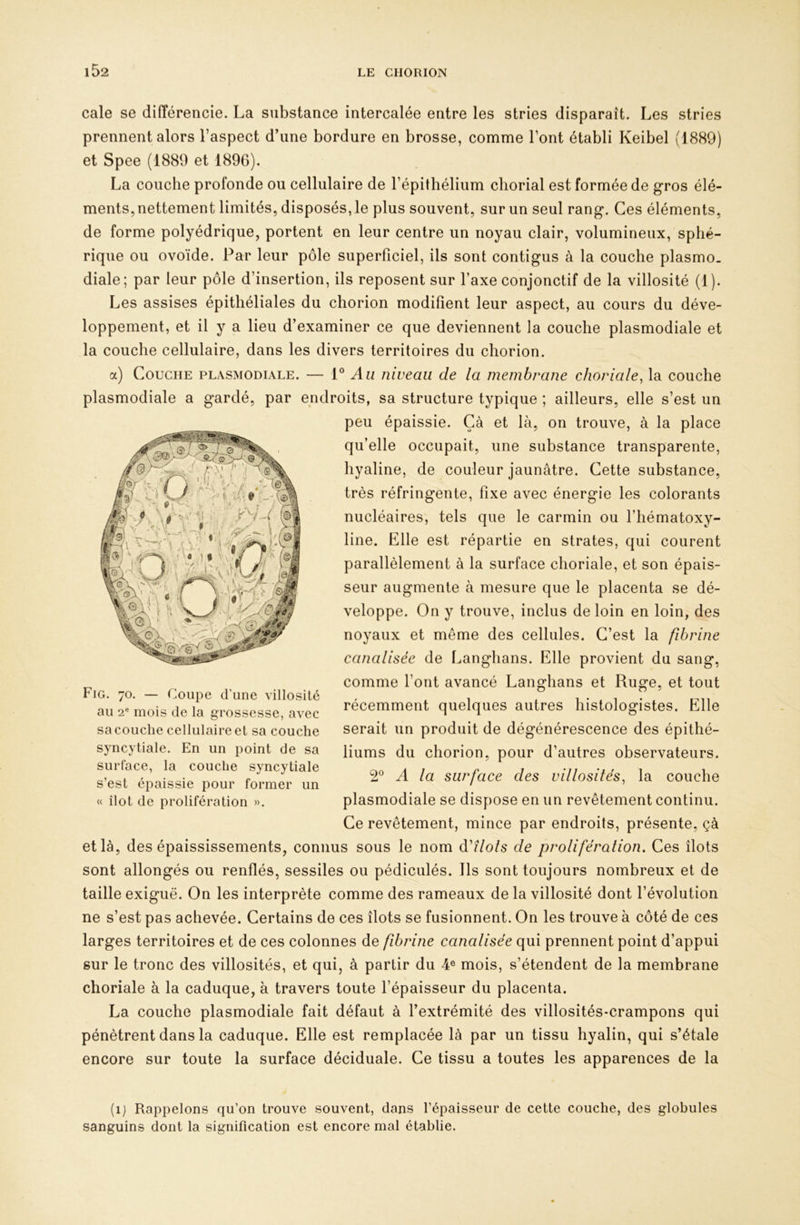 cale se différencie. La substance intercalée entre les stries disparaît. Les stries prennent alors l’aspect d’une bordure en brosse, comme l’ont établi Keibel (1889) et Spee (1889 et 1896). La couche profonde ou cellulaire de l’épithélium chorial est formée de gros élé- ments, nettement limités, disposés, le plus souvent, sur un seul rang. Ces éléments, de forme polyédrique, portent en leur centre un noyau clair, volumineux, sphé- rique ou ovoïde. Par leur pôle superficiel, ils sont contigus à la couche plasmo. diale; par leur pôle d’insertion, ils reposent sur l’axe conjonctif de la villosité (1). Les assises épithéliales du chorion modifient leur aspect, au cours du déve- loppement, et il y a lieu d’examiner ce que deviennent la couche plasmodiale et la couche cellulaire, dans les divers territoires du chorion. a) Couche plasmodiale. — Au niveau de la membrane choriale, la couche plasmodiale a gardé, par endroits, sa structure typique ; ailleurs, elle s’est un peu épaissie. Çà et là, on trouve, à la place qu’elle occupait, une substance transparente, hyaline, de couleur jaunâtre. Cette substance, très réfringente, fixe avec énergie les colorants nucléaires, tels que le carmin ou l’hématoxy- line. Elle est répartie en strates, qui courent parallèlement à la surface choriale, et son épais- seur au veloppe. On y trouve, inclus de loin en loin, des noyaux et même des cellules. C’est la fibrine canalisée de Langhans. Elle provient du sang, comme font avancé Langhans et Ruge, et tout récemment quelques autres histologistes. Elle serait un produit de dégénérescence des épithé- liums du chorion, pour d’autres observateurs. A la surface des villosités, la couche plasmodiale se dispose en un revêtement continu. Ce revêtement, mince par endroits, présente, çà et là, des épaississements, connus sous le nom ééilols de prolifération. Ces îlots sont allongés ou renflés, sessiles ou pédiculés. Ils sont toujours nombreux et de taille exiguë. On les interprète comme des rameaux de la villosité dont l’évolution ne s’est pas achevée. Certains de ces îlots se fusionnent. On les trouve à côté de ces larges territoires et de ces colonnes de fibrine canalisée qui prennent point d’appui sur le tronc des villosités, et qui, à partir du 4® mois, s’étendent de la membrane choriale à la caduque, à travers toute l’épaisseur du placenta. La couche plasmodiale fait défaut à l’extrémité des villosités-crampons qui pénètrent dans la caduque. Elle est remplacée là par un tissu hyalin, qui s’étale encore sur toute la surface déciduale. Ce tissu a toutes les apparences de la (i) Rappelons qu’on trouve souvent, dans l’épaisseur de cette couche, des globules sanguins dont la signification est encore mal établie. gmente à mesure que le placenta se dé- Fig. 70. — (^oupe d’une villosité au 2® mois de la grossesse, avec sa couche cellulaire et sa couche syncytiale. En un point de sa surface, la couche syncytiale s’est épaissie pour former un « îlot de prolifération ».