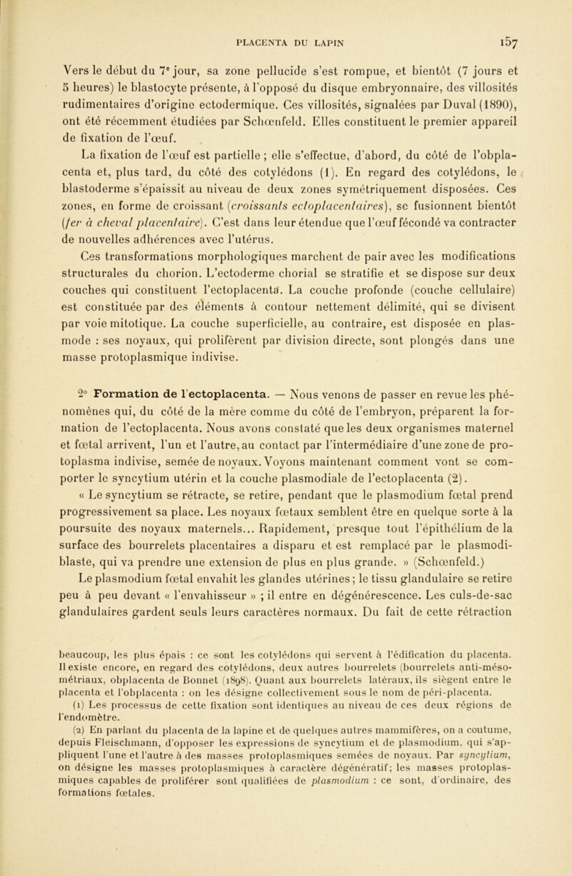 Vers le début du 7® jour, sa zone pellucide s’est rompue, et bientôt (7 jours et 5 heures) le blastocyte présente, à l’opposé du disque embryonnaire, des villosités rudimentaires d’origine ectodermique. Ces villosités, signalées par Duval (1890), ont été récemment étudiées par Schœnfeld. Elles constituent le premier appareil de fixation de l’œuf. La fixation de l’œuf est partielle ; elle s’effectue, d’abord, du côté de l’obpla- centa et, plus tard, du côté des cotylédons (1). En regard des cotylédons, le blastoderme s’épaissit au niveau de deux zones symétriquement disposées. Ces zones, en forme de croissant {croissanis ecloplacenlaires), sc fusionnent bientôt (fer à cheval placentaire). C’est dans leur étendue que l’œuf fécondé va contracter de nouvelles adhérences avec f utérus. Ces transformations morphologiques marchent de pair avec les modifications structurales du chorion. L’ectoderme chorial se stratifie et se dispose sur deux couches qui constituent fectoplacenta. La couche profonde (couche cellulaire) est constituée par des éléments à contour nettement délimité, qui se divisent par voie mitotique. La couche superficielle, au contraire, est disposée en plas- mode : ses noyaux, qui prolifèrent par division directe, sont plongés dans une masse protoplasmique indivise. 2° Formation de l’ectoplacenta. — Nous venons de passer en revue les phé- nomènes qui, du côté de la mère comme du côté de l’embryon, préparent la for- mation de fectoplacenta. Nous avons constaté que les deux organismes maternel et fœtal arrivent, l’un et l’autre, au contact par l’intermédiaire d’une zone de pro- toplasma indivise, semée de noyaux. Voyons maintenant com.ment vont se com- porter le syncytium utérin et la couche plasmodiale de l’ectoplacenta (2). « Le syncytium se rétracte, se retire, pendant que le plasmodium fœtal prend progressivement sa place. Les noyaux fœtaux semblent être en quelque sorte à la poursuite des noyaux maternels... Rapidement,'presque tout l’épithélium de la surface des bourrelets placentaires a disparu et est remplacé par le plasmodi- blaste, qui va prendre une extension de plus en plus grande. » (Schœnfeld.) Le plasmodium fœtal envahit les glandes utérines ; le tissu glandulaire se retire peu à peu devant « l’envahisseur » ; il entre en dégénérescence. Les culs-de-sac glandulaires gardent seuls leurs caractères normaux. Du fait de cette rétraction beaucoup, les plus épais : ce sont les cotylédons qui servent à l’édification du placenta. Il existe encore, en regard des cotylédons, deux autres bourrelets (bourrelets anti-méso- métriaux, obplacenta de Bonnet (1898). Quant aux bourrelets latéraux, ils siègent entre le placenta et l’obplacenta : on les désigne collectivement sous le nom de péri-placenta. (1) Les processus de cette fixation sont identiques au niveau de ces deux régions de rendc*mètre. (2) En parlant du placenta de la lapine et de quelques autres mammifères, on a coutume, depuis Fleischmann, d’opposer les expressions de syncytium et de plasmodium, qui s’ap- pliquent Tune et l’autre à des masses protoplasmiques semées de noyaux. Par syncytium, on désigne les masses protoplasmiques à caractère dégénératif; les masses protoplas- miques capables de proliférer sont <iualifiées de plasmodium : ce sont, d'ordinaire, des formations fœtales.