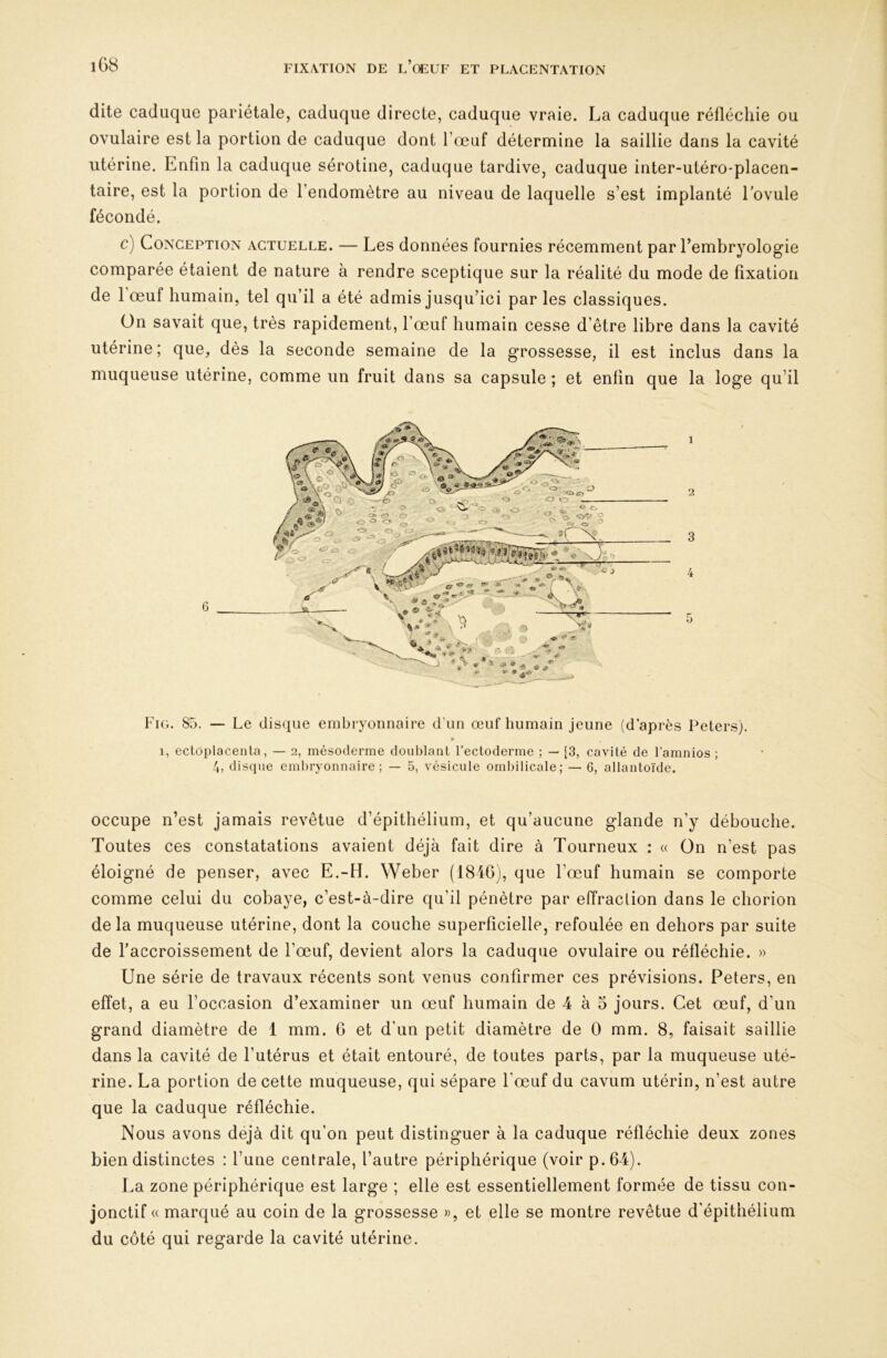 dite caduque pariétale, caduque directe, caduque vraie. La caduque réfléchie ou ovulaire est la portion de caduque dont l’œuf détermine la saillie dans la cavité utérine. Enfin la caduque sérotine, caduque tardive, caduque inter-utéro-placen- taire, est la portion de l’endomètre au niveau de laquelle s’est implanté l’ovule fécondé. c) Conception actuelle. — Les données fournies récemment par l’embryologie comparée étaient de nature à rendre sceptique sur la réalité du mode de fixation de 1 œuf humain, tel qu’il a été admis jusqu’ici par les classiques. On savait que, très rapidement, l’œuf humain cesse d’être libre dans la cavité utérine ; que, dès la seconde semaine de la grossesse, il est inclus dans la muqueuse utérine, comme un fruit dans sa capsule ; et enfin que la loge qu’il Fig. 85. — Le disque embryonnaire dïin œuf humain jeune (d’après Peters). 9 1, ectoplacenla, — 2, mésoderme douhlaiil l’ectoderme ; — [3, cavité de l’amnios ; disque embryonnaire; — 5, vésicule ombilicale; — 6, allantoïde. occupe n’est jamais revêtue d’épithélium, et qu’aucune glande n’y débouche. Toutes ces constatations avaient déjà fait dire à Tourneux : « On n’est pas éloigné de penser, avec E.-H. Weber (1846), que l’œuf humain se comporte comme celui du cobaye, c’est-à-dire qu’il pénètre par effraction dans le chorion delà muqueuse utérine, dont la couche superficielle, refoulée en dehors par suite de l’accroissement de l’œuf, devient alors la caduque ovulaire ou réfléchie. » Une série de travaux récents sont venus confirmer ces prévisions. Peters, en effet, a eu l’occasion d’examiner un œuf humain de 4 à 5 jours. Cet œuf, d’un grand diamètre de 1 mm. 6 et d’un petit diamètre de 0 mm. 8, faisait saillie dans la cavité de l’utérus et était entouré, de toutes parts, par la muqueuse uté- rine. La portion de cette muqueuse, qui sépare l’œuf du cavum utérin, n’est autre que la caduque réfléchie. Nous avons déjà dit qu’on peut distinguer à la caduque réfléchie deux zones bien distinctes : l’une centrale, l’autre périphérique (voir p.64). La zone périphérique est large ; elle est essentiellement formée de tissu con- jonctif « marqué au coin de la grossesse », et elle se montre revêtue d'épithélium du côté qui regarde la cavité utérine.