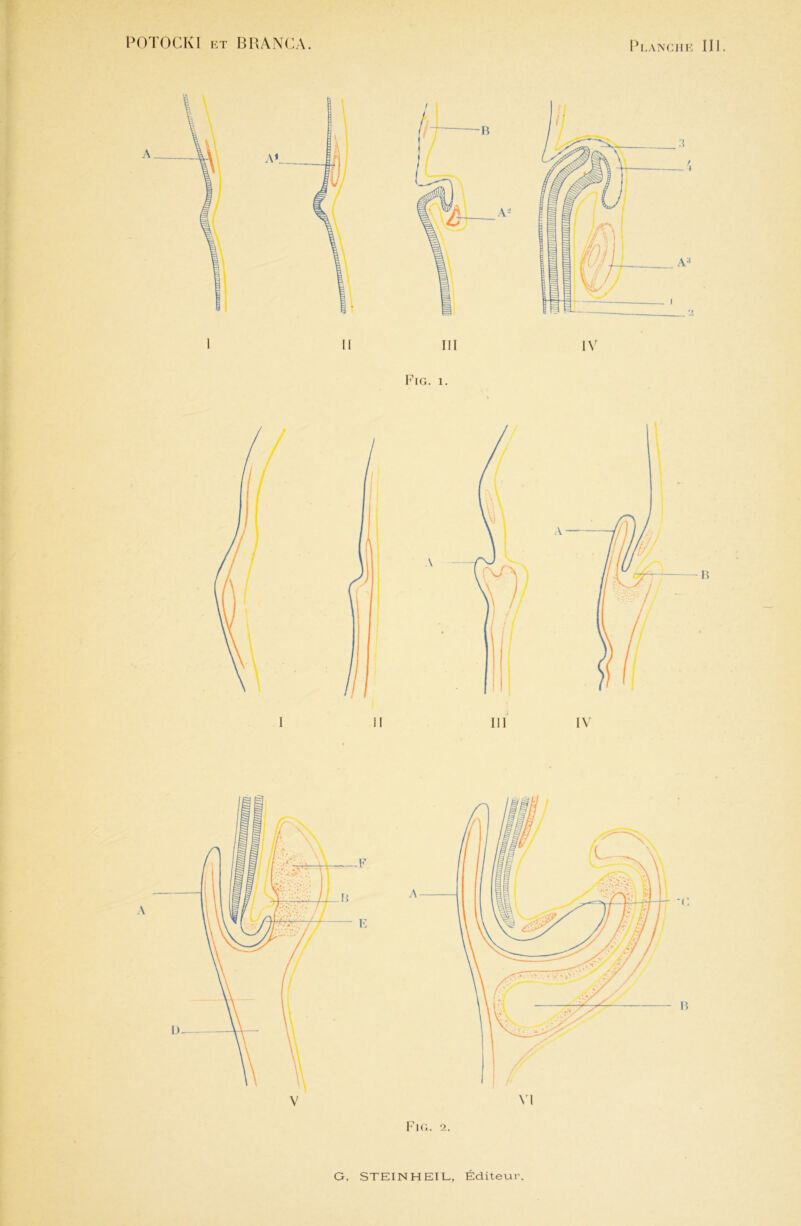 G. STEINHEIL, Éditeur.