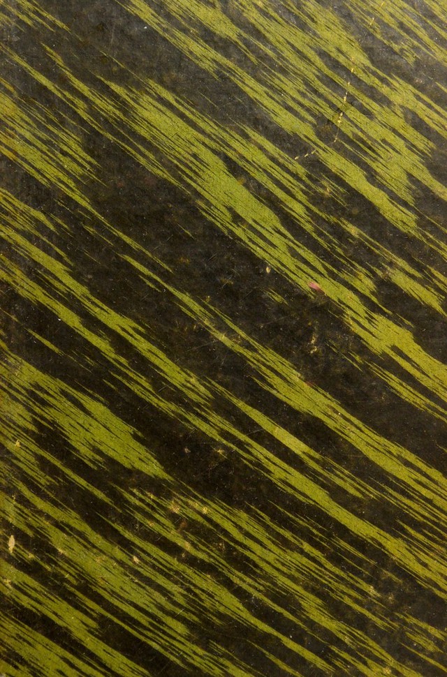 No text description is available for this image