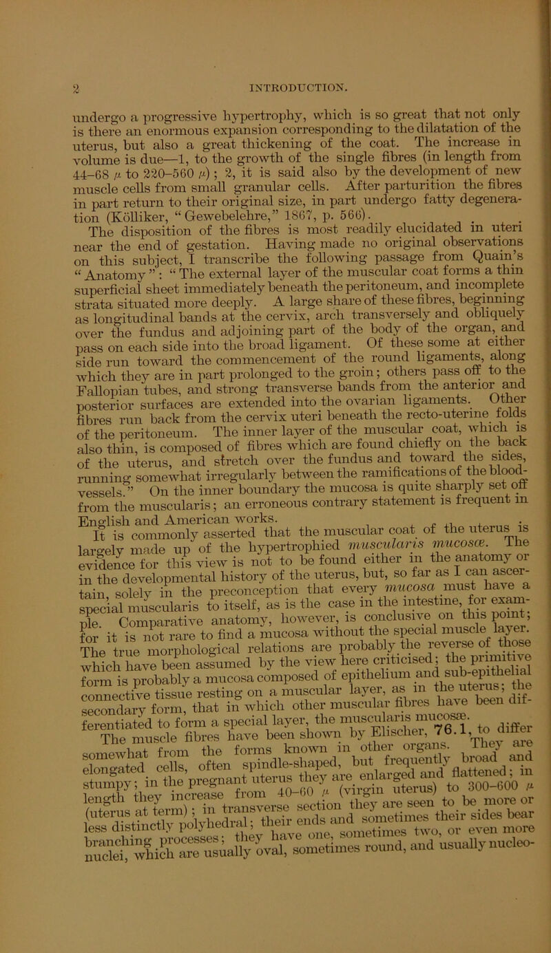 undergo a progressive hypertrophy, which is so great that not only is there an enormous expansion corresponding to the dilatation of the uterus, hut also a great thickening of the coat. The increase in volume is due—1, to the growth of the single fibres (in length from 44-68 ai to 220-560 p); 2, it is said also by the development of new muscle cells from small granular cells. After parturition the fibres in part return to their original size, in part undergo fatty degenera- tion (Kolliker, “ Gewebelehre,” 1867, p. 566). . The disposition of the fibres is most readily elucidated m uteri near the end of gestation. Having made no original observations on this subject, I transcribe the following passage from Quain’s “ Anatomy ” : “ The external layer of the muscular coat forms a thin superficial sheet immediately beneath the peritoneum, and incomplete strata situated more deeply. A large share of these fibres, beginning as longitudinal bands at the cervix, arch transversely and obliquely over the fundus and adjoining part of the body of the organ, and pass on each side into the broad ligament. Of these some at either side run toward the commencement of the round ligaments, along which they are in part prolonged to the groin; others pass off to the Fallopian tubes, and strong transverse bands from the anterior and posterior surfaces are extended into the ovarian ligaments. Other fibres run back from the cervix uteri beneath the recto-uterine tolas of the peritoneum. The inner layer of the muscular coat, which is also thin, is composed of fibres which are found chiefly on the back of the uterus, and stretch over the fundus and toward the sides, running somewhat irregularly between the ramifications of the blood- vessels.” On the inner boundary the mucosa is quite sharply set off from the muscularis; an erroneous contrary statement is frequent in English and American works. ^ , It is commonly asserted that the muscular coat of the uterus is largely made up of the hypertrophied muscularis mucosce. The evidence for this view is not to be found either m the anatomy oi in the developmental history of the uterus, but, so far as I can ascei- tain solely in the preconception that every mucosa must ha\e a ^ muscularis to itself, as is tire case in the nrtestme for exam- nle. Comparative anatomy, however, is conclusive on this point, for* it is not rare to find a mucosa without the special muscle lap er. tL true morphological relations are probably the reverse of those which have been assumed by the view here criticised^ the Piimitiw form is probably a mucosa composed of epithelium andsub epitoeliaL connective tissue resting on a muscular layer, as m the ^iterus, tl secondary form, that in which other muscular fibres have been air ferentiated to form a special layer the muscularis mucosae. The muscle fibres have been shown Setwhrrul^ usually nucleo-