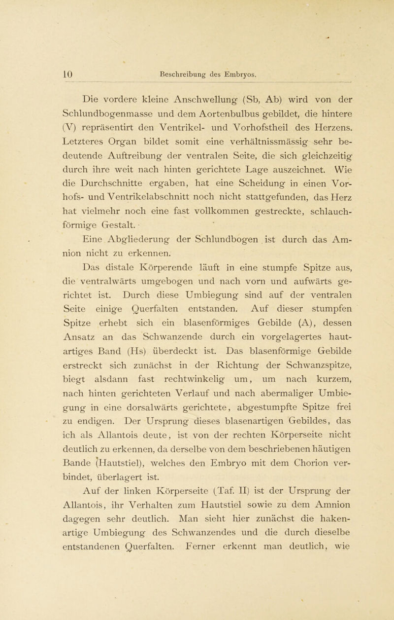 Die vordere kleine Anschwellung (Sb, Ab) wird von der Schlundbogenmasse und dem Aortenbulbus gebildet, die hintere (V) repräsentirt den Ventrikel- und Vorhofstheil des Herzens. Letzteres Organ bildet somit eine verhältnissmässig sehr be- deutende Auftreibung der ventralen Seite, die sich gleichzeitig durch ihre weit nach hinten gerichtete Lage auszeichnet. Wie die Durchschnitte ergaben, hat eine Scheidung in einen Vor- hofs- und Ventrikelabschnitt noch nicht stattgefunden, das Herz hat vielmehr noch eine fast vollkommen gestreckte, schlauch- förmige Gestalt. - Eine Abgliederung der Schlundbogen ist durch das Am- nion nicht zu erkennen. Das distale Körperende läuft in eine stumpfe Spitze aus, die ventralwärts umgebogen und nach vorn und aufwärts ge- richtet ist. Durch diese Umbiegung sind auf der ventralen Seite einige Querfalten entstanden. Auf dieser stumpfen Spitze erhebt sich ein blasenförmiges Gebilde (A), dessen Ansatz an das Schwanzende durch ein vorgelagertes haut- artiges Band (Hs) überdeckt ist. Das blasenförmige Gebilde erstreckt sich zunächst in der Richtung der Schwanzspitze, biegt alsdann fast rechtwinkelig um, um nach kurzem, nach hinten gerichteten Verlauf und nach abermaliger Umbie- gung in eine dorsalwärts gerichtete, abgestumpfte Spitze frei zu endigen. Der Ursprung dieses blasenartigen Gebildes, das ich als Allantois deute, ist von der rechten Körperseite nicht deutlich zu erkennen, da derselbe von dem beschriebenen häutigen Bande (Hautstiel), welches den Embryo mit dem Chorion ver- bindet, überlagert ist. Auf der linken Körperseite (^Taf. II) ist der Ursprung der Allantois, ihr Verhalten zum Hautstiel sowie zu dem Amnion dagegen sehr deutlich. Man sieht hier zunächst die haken- artige Umbiegung* des Schwanzendes und die durch dieselbe entstandenen Querfalten. Ferner erkennt man deutlich, wie