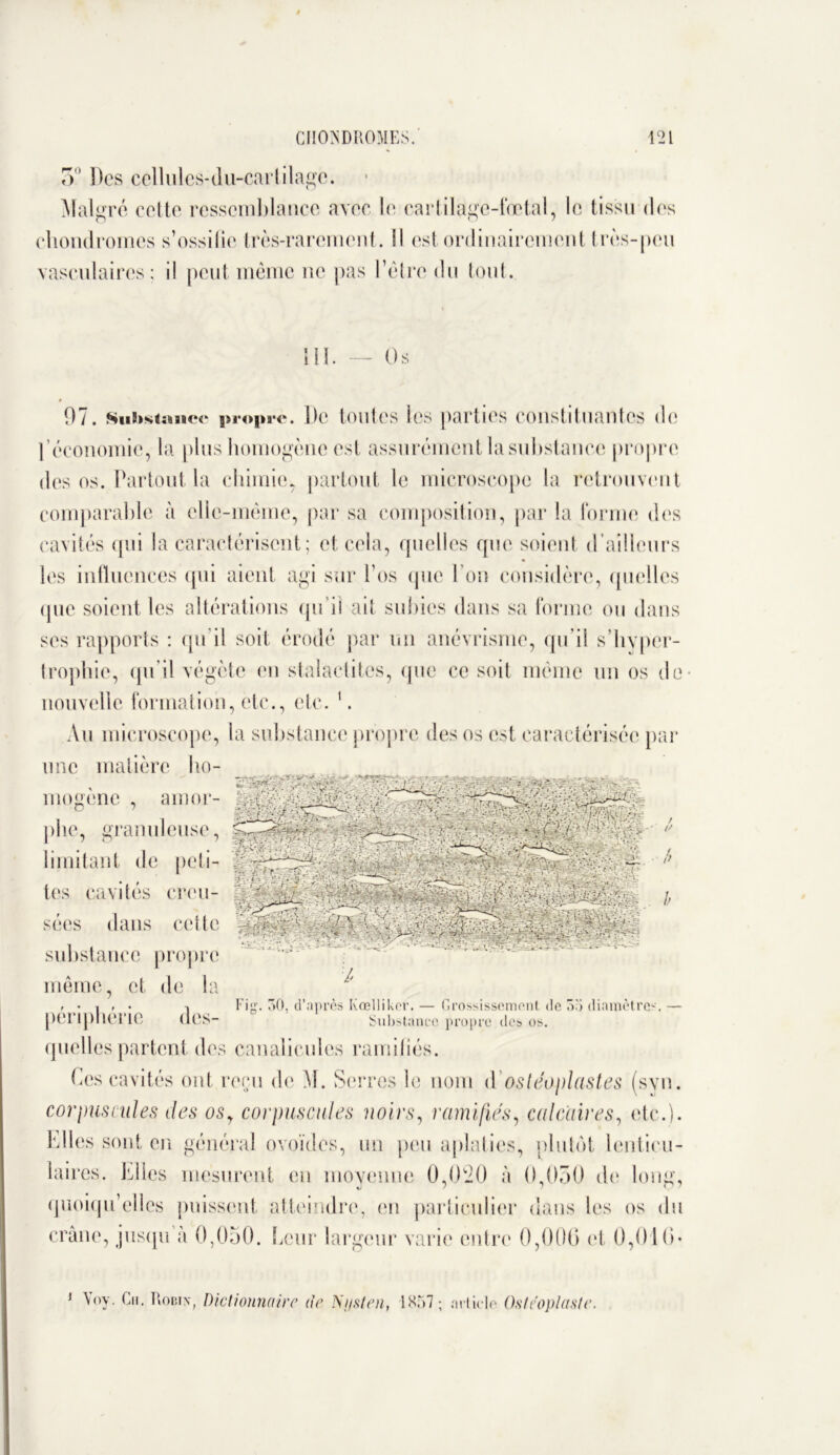 5° Des cellules-du-cartilagc. Malgré celte ressemblance avec le cartilage-fœtal, le tissu des chondromes s’ossifie très-rarement. Il est ordinairement très-peu vasculaires; il peut même ne pas l’être du tout. SU Os 07. SiiS>siîtiiï<*c propre. De toutes les parties constituantes de l’économie, la plus homogène est assurément la substance propre des os. Partout la chimie, partout le microscope la retrouvent comparable à elle-même, par sa composition, par la forme dos cavités qui la caractérisent ; et cela, quelles que soient d’ailleurs les influences qui aient agi sur l’os que 1 on considère, quelles que soient les altérations qu’il ait subies dans sa forme ou dans scs rapports : qu’il soit érodé par un anévrisme, qu’il s’hvper- trophic, qu’il végète en stalactites, que ce soit même un os de nouvelle formation, etc., etc. '. Au microscope, la substance propre des os est caractérisée par une matière ho- I Fi<,r. 30, d’après Kœlliker. — Grossissement de 33 diamètres. — mogenc plie limitant tes sées substance propre même, et de la pei iphci'ie des- Substance propre des os quelles partent des canalicules ramifiés. Ces cavités ont reçu de M. Serres le nom d’ostéoplastes (svn. corpuscules des osy corpuscules noirs, ramifies, calcaires, etc.). Elles sont en général ovoïdes, un peu aplaties, plutôt lenticu- laires. Elles mesurent en moyenne 0,(620 à 0,050 de long, quoiqu’elles puissent atteindre, en particulier dans les os du crâne, jusqu à 0,050. Leur largeur varie entre 0,006 et 0,016*