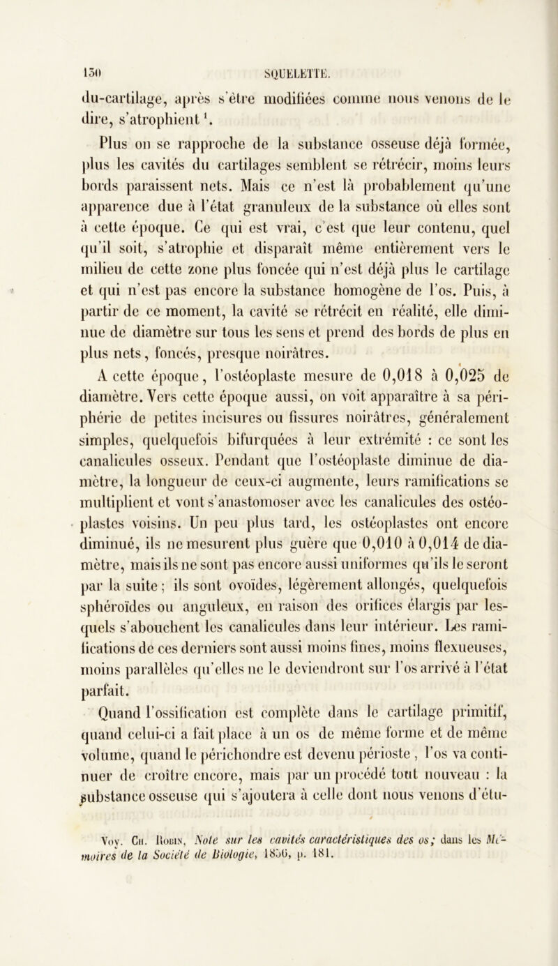 du-cartilage, après s’être modifiées comme nous venons de le dire, s’atrophient1. Plus on se rapproche de la substance osseuse déjà formée, plus les cavités du cartilages semblent se rétrécir, moins leurs bords paraissent nets. Mais ce n’est là probablement qu’une apparence due à l’état granuleux de la substance où elles sont à cette époque. Ce qui est vrai, c est que leur contenu, quel qu’il soit, s’atrophie et disparaît même entièrement vers le milieu de cette zone plus foncée qui n’est déjà plus le cartilage et qui n’est pas encore la substance homogène de l’os. Puis, à partir de ce moment, la cavité se rétrécit en réalité, elle dimi- nue de diamètre sur tous les sens et prend des bords de plus en plus nets, foncés, presque noirâtres. « A cette époque, l’ostéoplaste mesure de 0,018 à 0,025 de diamètre. Vers cette époque aussi, on voit apparaître à sa péri- phérie de petites incisures ou fissures noirâtres, généralement simples, quelquefois bifurquées à leur extrémité : ce sont les canalicules osseux. Pendant que l’ostéoplaste diminue de dia- mètre, la longueur de ceux-ci augmente, leurs ramifications se multiplient et vont s’anastomoser avec les canalicules des ostéo- plastcs voisins. Un peu plus tard, les ostéoplastes ont encore diminué, ils ne mesurent plus guère que 0,010 à 0,014 de dia- mètre, mais ils ne sont pas encore aussi uniformes qu’ils le seront par la suite ; ils sont ovoïdes, légèrement allongés, quelquefois sphéroïdes ou anguleux, en raison des orifices élargis par les- quels s’abouchent les canalicules dans leur intérieur. Les rami- fications de ces derniers sont aussi moins fines, moins flexueuses, moins parallèles qu elles ne le deviendront sur l’os arrivé à l’état parfait. Quand l’ossification est complète dans le cartilage primitif, quand celui-ci a fait place à un os de même forme et de même volume, quand le périchondre est devenu périoste , l’os va conti- nuer de croître encore, mais par un procédé tout nouveau : la substance osseuse qui s’ajoutera à celle dont nous venons d’élu- Vov. Cn. 1 Iolîin, Note sur les cavités caractéristiques des os; dans les M- moires de la Société de Biologie> 1830, j>. 181.