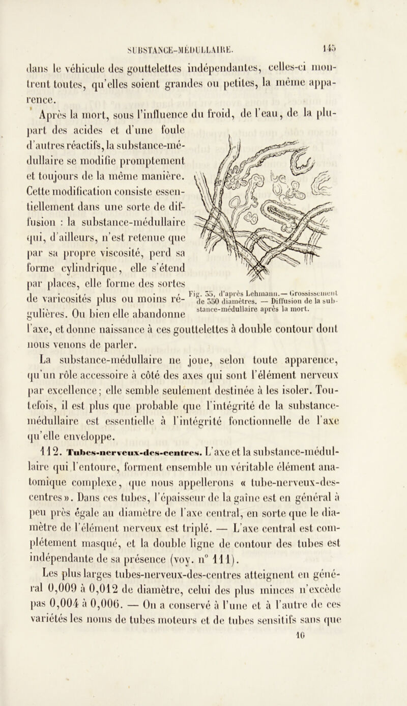 dans le véhicule des gouttelettes indépendantes, celles-ci mon- trent toutes, qu elles soient grandes ou petites, la même appa- rence. Après la mort, sous l’influence du froid, de l’eau, de la plu- part des acides et d’une foule d’autres réactifs, la substance-mé- dullaire se modifie promptement et toujours de la même manière. Cette modification consiste essen- tiellement dans une sorte de dif- fusion : la substance-médullaire qui, d ailleurs, n’est retenue que par sa propre viscosité, perd sa forme cylindrique, elle s’étend par places, elle forme des sortes i • • , r i • , Fig. 55, d’après Lehraana.— Grossissement de varicosités plus OU moins re- Se 550 diamètres. - Diffusion de la sub- ai* il i j stance-médullaire après la mort. guiieres. Ou bien elle abandonne 1 f axe, et donne naissance à ces gouttelettes à double contour dont nous venons de parler. La substance-médullaire ne joue, selon toute apparence, qu’un rôle accessoire à côté des axes qui sont f élément nerveux par excellence; elle semble seulement destinée à les isoler. Tou- tefois, il est plus que probable que l’intégrité de la substance- médullaire est essentielle à l’intégrité fonctionnelle de l'axe qu’elle enveloppe. 112. Tiifoes-iierveux-des-centres. L axe et la SubstaUCC-Illédlll- laire qui l’entoure, forment ensemble un véritable élément ana- tomique complexe, que nous appellerons « tube-nerveux-dcs- centres». Dans ces tubes, l’épaisseur de la gaine est en général à peu près égale au diamètre de Taxe central, en sorte que le dia- mètre de l’élément nerveux est triplé. — L’axe central est com- plètement masqué, et la double ligne de contour des tubes est indépendante de sa présence (voy. n° 111). Les plus larges tubes-nerveux-des-centres atteignent en géné- ral 0,009 à 0,012 de diamètre, celui des plus minces n’excède pas 0,004 à 0,000. — On a conservé à l’une et à l’autre de ces variétés les noms de tubes moteurs et de tubes sensitifs sans que 10