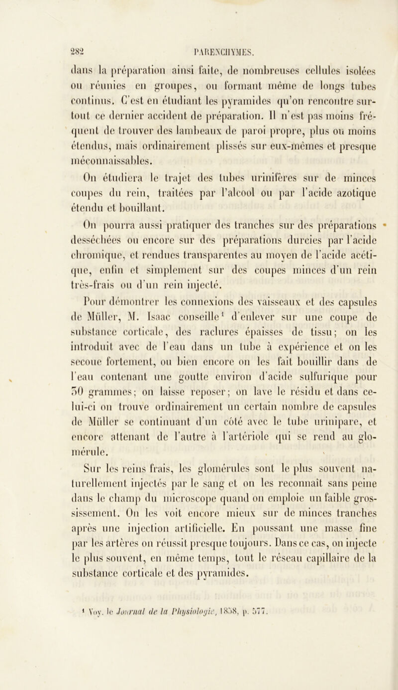 clans la préparation ainsi laite, de nombreuses cellules isolées on réunies en groupes, ou formant même de longs tubes continus. C’est en étudiant les pyramides qu’on rencontre sur- tout ce dernier accident de préparation. Il n’est pas moins fré- quent de trouver des lambeaux de paroi propre, plus ou moins étendus, mais ordinairement plissés sur eux-mêmes et presque méconnaissables. On étudiera le trajet des tubes urinifères sur de minces coupes du rein, traitées par l’alcool ou par l’acide azotique étendu et bouillant. On pourra aussi pratiquer des tranches sur des préparations desséchées ou encore sur des préparations durcies par l’acide chromique, et rendues transparentes au moyen de l’acide acéti- que, enfin et simplement sur des coupes minces d’un rein très-frais ou d’un rein injecté. Pour démontrer les connexions des vaisseaux et des capsules de Muller, M. Isaac conseille1 d’enlever sur une coupe de substance corticale, des raclures épaisses de tissu; on les introduit avec de l’eau dans un tube à expérience et on les secoue fortement, ou bien encore on les fait bouillir dans de l’eau contenant une goutte environ d’acide sulfurique pour 50 grammes; on laisse reposer; on lave le résidu et dans ce- lui-ci on trouve ordinairement un certain nombre de capsules de Muller se continuant d’un côté avec le tube urinipare, et encore attenant de l’autre à l’artériole qui se rend au glo- mérule. Sur les reins frais, les glomérules sont le plus souvent na- turellement injectés par le sang et on les reconnaît sans peine dans le champ du microscope quand on emploie un faible gros- sissement. On les voit encore mieux sur de minces tranches après une injection artificielle. En poussant une masse fme par les artères on réussit presque toujours. Dans ce cas, on injecte le plus souvent, en même temps, tout le réseau capillaire de la substance corticale et des pyramides. 1 Yoy. le Journal île la Physiologie, 1858, p. 577.