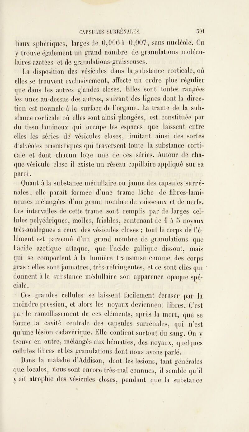 baux sphériques, larges de 0,006 à 0,007, sans nucléole. On y trouve également un grand nombre de granulations molécu- laires azotées et de granulations-graisseuses. La disposition des vésicules dans la .substance corticale, où elles se trouvent exclusivement, affecte un ordre plus régulier (pie dans les autres glandes closes. Elles sont toutes rangées les unes au-dessus des autres, suivant des lignes dont la direc- tion est normale à la surface de l’organe. La trame de la sub- stance corticale où elles sont ainsi plongées, est constituée par du tissu lamineux qui occupe les espaces que laissent entre elles les séries de vésicules closes, limitant ainsi des sortes d’alvéoles prismatiques qui traversent toute la substance corti- cale et dont chacun loge une de ces séries. Autour de cha- que vésicule close il existe un réseau capillaire appliqué sur sa paroi. Quant à la substance médullaire ou jaune des capsules surré- nales, elle parait formée d’une trame lâche de fibres-lami- lieuses mélangées d’un grand nombre de vaisseaux et de nerfs. Les intervalles de cette trame sont remplis par de larges cel- lules polyédriques, molles, friables, contenant de 1 à 5 noyaux très-analogues à ceux des vésicules closes ; tout le corps de l’é- lément est parsemé d’un grand nombre de granulations que l’acide azotique attaque, que l’acide gallique dissout, mais qui se comportent à la lumière transmise comme des corps gras : elles sont jaunâtres, très-réfringentes, et ce sont elles qui donnent à la substance médullaire son apparence opaque spé- ciale. Ces grandes cellules se laissent facilement écraser par la moindre pression, et alors les noyaux deviennent libres. C’est par le ramollissement de ces éléments, après la mort, (pie se forme la cavité centrale des capsules surrénales, (pii n’est qu’une lésion cadavérique. Elle contient surtout du sang. On y trouve en outre, mélangés aux hématies, des noyaux, quelques cellules libres et les granulations dont nous avons parlé. Dans la maladie d’Addison, dont les lésions, tant générales que locales, tious sont encore très-mal connues, il semble qu’il y ait atrophie des vésicules closes, pendant que la substance