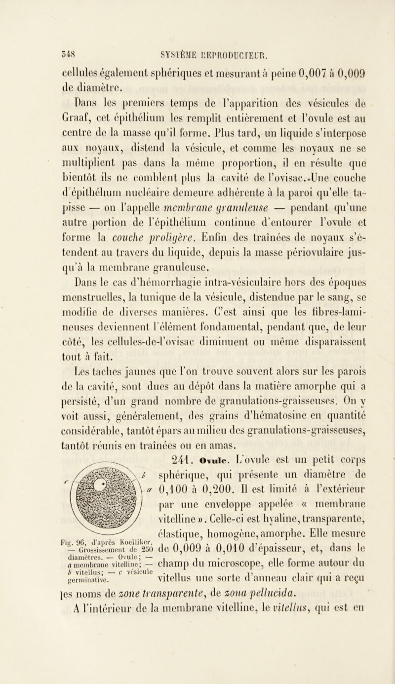 cellules également sphériques et mesurant à peine 0,007 à 0,009 île diamètre. Dans les premiers temps de l’apparition des vésicules de Graaf, cet épithélium les remplit entièrement et l’ovule est au centre de la masse qu’il forme. Plus tard, un liquide s’interpose aux noyaux, distend la vésicule, et comme les noyaux ne se multiplient pas dans la même proportion, il en résulte que bientôt ils ne comblent plus la cavité de l’ovisac..Une couche d épithélium nucléaire demeure adhérente à la paroi qu’elle ta- pisse — ou l’appelle membrane granuleuse — pendant qu’une autre portion de P épithélium continue d’entourer l’ovule et forme la couche proligère. Enfin des traînées de noyaux s’é- tendent au travers du liquide, depuis la masse périovulaire jus- qu’à la membrane granuleuse. Dans le cas d’hémorrhagie intra-vésiculaire hors des époques menstruelles, la tunique de la vésicule, distendue par le sang, se modifie de diverses manières. C’est ainsi que les fibres-lami- neuses deviennent l’élément fondamental, pendant que, de leur côté, les eellules-de-l’ovisac diminuent ou même disparaissent tout à fait. Les taches jaunes que l’on trouve souvent alors sur les parois de la cavité, sont dues au dépôt dans la matière amorphe qui a persisté, d’un grand nombre de granulations-graisseuses. On y voit aussi, généralement, des grains d’hématosine en quantité considérable, tantôt épars au milieu des granulations-graisseuses, tantôt réunis en traînées ou en amas. 241. Ovule. L’ovule est un petit corps sphérique, qui présente un diamètre de 0,100 à 0,200. Il est limité à l’extérieur par une enveloppe appelée « membrane vitelline ». Celle-ci est hyaline, transparente, élastique, homogène, amorphe. Elle mesure de 0,009 à 0,010 d’épaisseur, et, dans le diamètres. — Ovule ; — . 1 . -,. 0 , a membrane vitelline; — champ du microscope, elle tonne autour UU b vitellus; — c vésicule . , • germinative. vitellus une sorte d anneau clair qui a reçu jes noms de zone transparente, de zona pellucida. A l’intérieur de la membrane vitelline, \e vitellus, qui est en