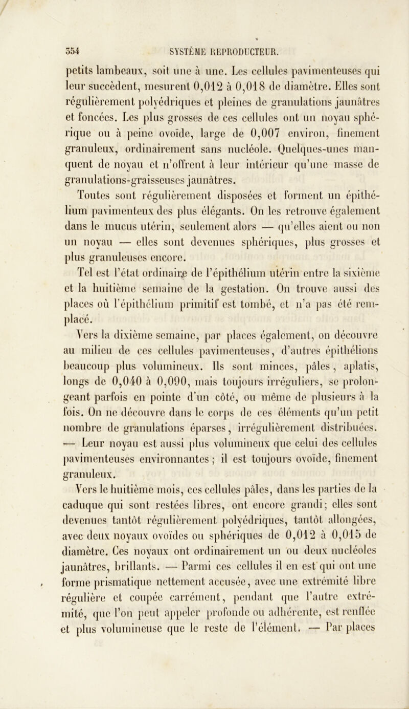 petits lambeaux, soit une à une. Les cellules pavimenteuses qui leur succèdent, mesurent 0,012 à 0,018 de diamètre. Elles sont régulièrement polyédriques et pleines de granulations jaunâtres et foncées. Les plus grosses de ces cellules ont un noyau sphé- rique ou à peine ovoïde, large de 0,007 environ, finement granuleux, ordinairement sans nucléole. Quelques-unes man- quent de noyau et rf offrent à leur intérieur qu’une masse de granulations-graisseuses jaunâtres. Toutes sont régulièrement disposées et forment un épithé- lium pavimenteux des plus élégants. On les retrouve également dans le mucus utérin, seulement alors — qu’elles aient ou non un noyau — elles sont devenues sphériques, plus grosses et plus granuleuses encore. Tel est l’état ordinaire de l’épithélium utérin entre la sixième et la huitième semaine de la gestation. On trouve aussi des places où f épithélium primitif est tombé, et n’a pas été rem- placé. Vers la dixième semaine, par places également, on découvre au milieu de ces cellules pavimenteuses, d’autres épithélions beaucoup plus volumineux. Ils sont minces, pâles, aplatis, longs de 0,040 à 0,090, mais toujours irréguliers, se prolon- geant parfois en pointe d’un côté, ou même de plusieurs à la fois. On ne découvre dans le corps de ces éléments qu’un petit nombre de granulations éparses, irrégulièrement distribuées. — Leur noyau est aussi plus volumineux que celui des cellules pavimenteuses environnantes ; il est toujours ovoïde, finement granuleux. Vers le huitième mois, ces cellules pâles, dans les parties de la caduque qui sont restées libres, ont encore grandi; elles sont devenues tantôt régulièrement polyédriques, tantôt allongées, avec deux noyaux ovoïdes ou sphériques de 0,012 à 0,015 de diamètre. Ces noyaux ont ordinairement un ou deux nucléoles jaunâtres, brillants. — Parmi ces cellules il en est qui ont une forme prismatique nettement accusée, avec une extrémité libre régulière et coupée carrément, pendant que l’autre extré- mité, que l’on peut appeler profonde ou adhérente, est renflée et plus volumineuse que le reste de l’élément. — Par places