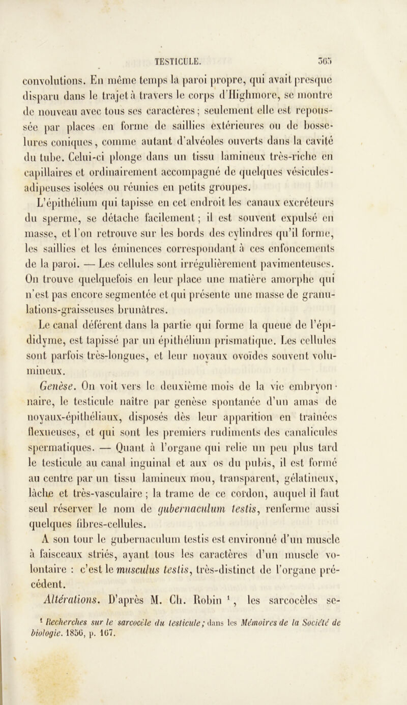 convolutions. En même temps la paroi propre, qui avait presque disparu dans le trajet à travers le corps d’Highmore, se montre de nouveau avec tous ses caractères; seulement elle est repous- sée par places en forme de saillies extérieures ou de bosse- lures coniques, comme autant d’alvéoles ouverts dans la cavité du tube. Celui-ci plonge dans un tissu lamineux très-riche en capillaires et ordinairement accompagné de quelques vésicules- adipeuses isolées ou réunies en petits groupes. L’épithélium qui tapisse en cet endroit les canaux excréteurs du sperme, se détache facilement ; il est souvent expulsé en masse, et l’on retrouve sur les bords des cylindres qu’il forme, les saillies et les éminences correspondant à ces enfoncements de la paroi. — Les cellules sont irrégulièrement pavimenteuses. On trouve quelquefois en leur place une matière amorphe qui n’est pas encore segmentée et qui présente une masse de granu- lations-graisscuses brunâtres. Le canal déférent dans la partie qui forme la queue de l’épi- didvme, est tapissé par un épithélium prismatique. Les cellules sont parfois très-longues, et leur noyaux ovoïdes souvent volu- mineux. Genèse. On voit vers le deuxième mois de la vie embryon • naire, le testicule naître par genèse spontanée d’un amas de noyaux-épithéliaux, disposés dès leur apparition en traînées tlexueüses, et qui sont les premiers rudiments des canalicules spermatiques. — Quant à l’organe qui relie un peu plus tard le testicule au canal inguinal et aux os du pubis, il est formé au centre par un tissu lamineux mou, transparent, gélatineux, làclue et très-vasculaire ; la trame de ce cordon, auquel il faut seul réserver le nom de (jubernaculum testis, renferme aussi quelques fibres-cellules. A son tour le gubernaculum testis est environné d’un muscle à faisceaux striés, ayant tous les caractères d’un muscle vo- lontaire : c’est le musculus teslis, très-distinct de l’organe pré- cédent. Altérations. D’après M. Ch. Robin 1, les sarcocèles sc- 1 Recherches sur le sarcoccle du testicule; dans les Mémoires de la Société de biologie. 1850, p. 107.