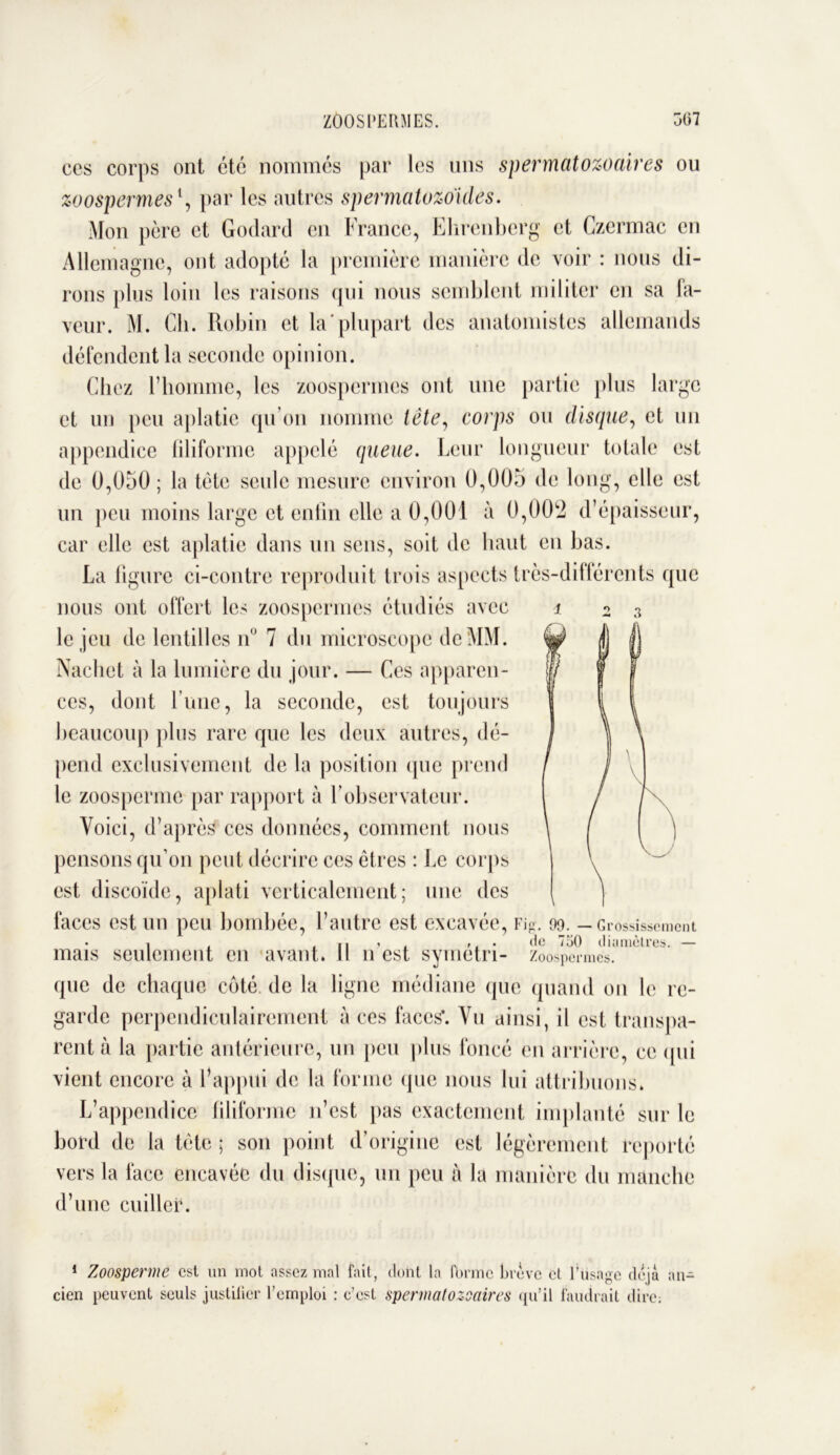 2 3 ccs corps ont été nommés par les uns spermatozoaires ou zoospermesl, par les autres spermatozoïdes. Mon père et Godard en France, Ehrenberg et Czermac en Allemagne, ont adopté la première manière de voir : nous di- rons plus loin les raisons qui nous semblent militer en sa fa- veur. M. Ch. Robin et la plupart des anatomistes allemands défendent la seconde opinion. Chez l’homme, les zoospermes ont une partie plus large et un peu aplatie qu’on nomme tête, corps ou disque, et un appendice filiforme appelé queue. Leur longueur totale est de 0,050; la tète seule mesure environ 0,005 de long, elle est un peu moins large et enfin elle a 0,001 à 0,002 d’épaisseur, car elle est aplatie dans un sens, soit de haut en bas. La figure ci-contre reproduit trois aspects très-différents que nous ont offert les zoospermes étudiés avec le jeu de lentilles n° 7 du microscope de MM. Nacliet à la lumière du jour. — Ces apparen- ces, dont l’une, la seconde, est toujours beaucoup plus rare que les deux autres, dé- pend exclusivement de la position que prend le zoosperme par rapport à l’observateur. Voici, d’après ces données, comment nous pensons qu’on peut décrire ces êtres : Le corps est discoïde, aplati verticalement; une des faces est un peu bombée, l’autre est excavée, Fig. oo. — Grossissement • i . . |, , , , . de 750 diamètres. — mais seulement en avant. Il n est symetri- zoospermes. que de chaque coté de la ligne médiane que quand on le re- garde perpendiculairement à ces faces*. Vu ainsi, il est transpa- rent à la partie antérieure, un peu plus foncé en arrière, ce (pii vient encore à F appui de la forme que nous lui attribuons. L’appendice filiforme n’est pas exactement implanté sur le bord de la tête ; son point d’origine est légèrement reporté vers la face encavéc du disque, un peu à la manière du manche d’une cuiller. 1 Zoosperme est un mot assez mal fait, dont la ft)rmc brève cl l’usage déjà an- cien peuvent seuls justifier l’emploi : c’est spermatozoaires qu’il faudrait dire: