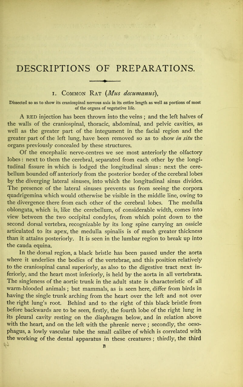 DESCRIPTIONS OF PREPARATIONS. i. Common Rat (Mus decumanus), Dissected so as to show its craniospinal nervous axis in its entire length as well as portions of most of the organs of vegetative life. A RED injection has been thrown into the veins ; and the left halves of the walls of the craniospinal, thoracic, abdominal, and pelvic cavities, as well as the greater part of the integument in the facial region and the greater part of the left lung, have been removed so as to show in situ the organs previously concealed by these structures. Of the encephalic nerve-centres we see most anteriorly the olfactory lobes : next to them the cerebral, separated from each other by the longi- tudinal fissure in which is lodged the longitudinal sinus : next the cere- bellum bounded off anteriorly from the posterior border of the cerebral lobes by the diverging lateral sinuses, into which the longitudinal sinus divides. The presence of the lateral sinuses prevents us from seeing the corpora quadrigemina which would otherwise be visible in the middle line, owing to the divergence there from each other of the cerebral lobes. The medulla oblongata, which is, like the cerebellum, of considerable width, comes into view between the two occipital condyles, from which point down to the second dorsal vertebra, recognizable by its long spine carrying an ossicle articulated to its apex, the medulla spinalis is of much greater thickness than it attains posteriorly. It is seen in the lumbar region to break up into the cauda equina. In the dorsal region, a black bristle has been passed under the aorta where it underlies the bodies of the vertebrae, and this position relatively to the craniospinal canal superiorly, as also to the digestive tract next in- feriorly, and the heart most inferiorly, is held by the aorta in all vertebrata. The singleness of the aortic trunk in the adult state is characteristic of all warm-blooded animals ; but mammals, as is seen here, differ from birds in having the single trunk arching from the heart over the left and not over the right lung’s root. Behind and to the right of this black bristle from before backwards are to be seen, firstly, the fourth lobe of the right lung in its pleural cavity resting on the diaphragm below, and in relation above with the heart, and on the left with the phrenic nerve ; secondly, the oeso- phagus, a lowly vascular tube the small calibre of which is correlated with the working of the dental apparatus in these creatures ; thirdly, the third V B