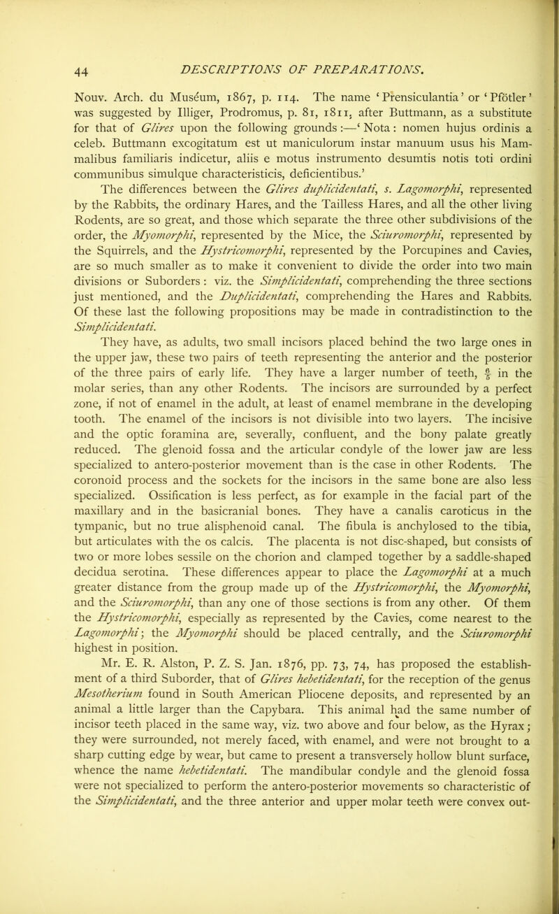 Nouv. Arch, du Museum, 1867, p. 114. The name ‘ Prensiculantia ’ or ‘Pfotler’ was suggested by Illiger, Prodromus, p. 81, i8ii5 after Buttmann, as a substitute for that of Glires upon the following grounds :—‘ Nota: nomen hujus ordinis a celeb. Buttmann excogitatum est ut maniculorum instar manuum usus his Mam- malibus familiaris indicetur, aliis e motus instrumento desumtis notis toti ordini communibus simulque characteristicis, deficientibus.’ The differences between the Glires duplicidentati, s. Lagomorphi, represented by the Rabbits, the ordinary Hares, and the Tailless Hares, and all the other living Rodents, are so great, and those which separate the three other subdivisions of the order, the Myomorphi, represented by the Mice, the Sciuromorphi, represented by the Squirrels, and the Hystricomorphi, represented by the Porcupines and Cavies, are so much smaller as to make it convenient to divide the order into two main divisions or Suborders : viz. the Simplicidentati, comprehending the three sections just mentioned, and the Duplicidentaticomprehending the Hares and Rabbits. Of these last the following propositions may be made in contradistinction to the Simpliciden tati. They have, as adults, two small incisors placed behind the two large ones in the upper jaw, these two pairs of teeth representing the anterior and the posterior of the three pairs of early life. They have a larger number of teeth, f in the molar series, than any other Rodents. The incisors are surrounded by a perfect zone, if not of enamel in the adult, at least of enamel membrane in the developing tooth. The enamel of the incisors is not divisible into two layers. The incisive and the optic foramina are, severally, confluent, and the bony palate greatly reduced. The glenoid fossa and the articular condyle of the lower jaw are less specialized to antero-posterior movement than is the case in other Rodents. The coronoid process and the sockets for the incisors in the same bone are also less specialized. Ossification is less perfect, as for example in the facial part of the maxillary and in the basicranial bones. They have a canalis caroticus in the tympanic, but no true alisphenoid canal. The fibula is anchylosed to the tibia, but articulates with the os calcis. The placenta is not disc-shaped, but consists of two or more lobes sessile on the chorion and clamped together by a saddle-shaped decidua serotina. These differences appear to place the Lago?norphi at a much greater distance from the group made up of the Hystricomorphi,, the Myomorphi, and the Sciuromorphi, than any one of those sections is from any other. Of them the Hystricomorphi, especially as represented by the Cavies, come nearest to the Lagomorphi', the Myomorphi should be placed centrally, and the Sciuromorphi highest in position. Mr. E. R. Alston, P. Z. S. Jan. 1876, pp. 73, 74, has proposed the establish- ment of a third Suborder, that of Glires hebetidentati, for the reception of the genus Mesotherium found in South American Pliocene deposits, and represented by an animal a little larger than the Capybara. This animal had the same number of incisor teeth placed in the same way, viz. two above and four below, as the Hyrax; they were surrounded, not merely faced, with enamel, and were not brought to a sharp cutting edge by wear, but came to present a transversely hollow blunt surface, whence the name hebetidentati. The mandibular condyle and the glenoid fossa were not specialized to perform the antero-posterior movements so characteristic of the Simplicidentati, and the three anterior and upper molar teeth were convex out-