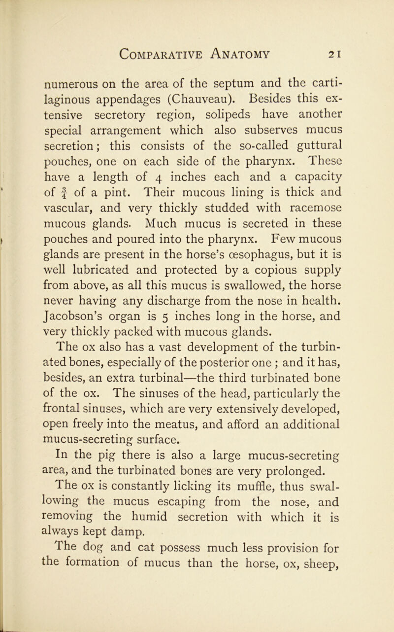 numerous on the area of the septum and the carti- laginous appendages (Chauveau). Besides this ex- tensive secretory region, solipeds have another special arrangement which also subserves mucus secretion; this consists of the so-called guttural pouches, one on each side of the pharynx. These have a length of 4 inches each and a capacity of f of a pint. Their mucous lining is thick and vascular, and very thickly studded with racemose mucous glands. Much mucus is secreted in these pouches and poured into the pharynx. Few mucous glands are present in the horse’s oesophagus, but it is well lubricated and protected by a copious supply from above, as all this mucus is swallowed, the horse never having any discharge from the nose in health. Jacobson’s organ is 5 inches long in the horse, and very thickly packed with mucous glands. The ox also has a vast development of the turbin- ated bones, especially of the posterior one ; and it has, besides, an extra turbinal—the third turbinated bone of the ox. The sinuses of the head, particularly the frontal sinuses, which are very extensively developed, open freely into the meatus, and afford an additional mucus-secreting surface. In the pig there is also a large mucus-secreting area, and the turbinated bones are very prolonged. The ox is constantly licking its muffle, thus swal- lowing the mucus escaping from the nose, and removing the humid secretion with which it is always kept damp. The dog and cat possess much less provision for the formation of mucus than the horse, ox, sheep.