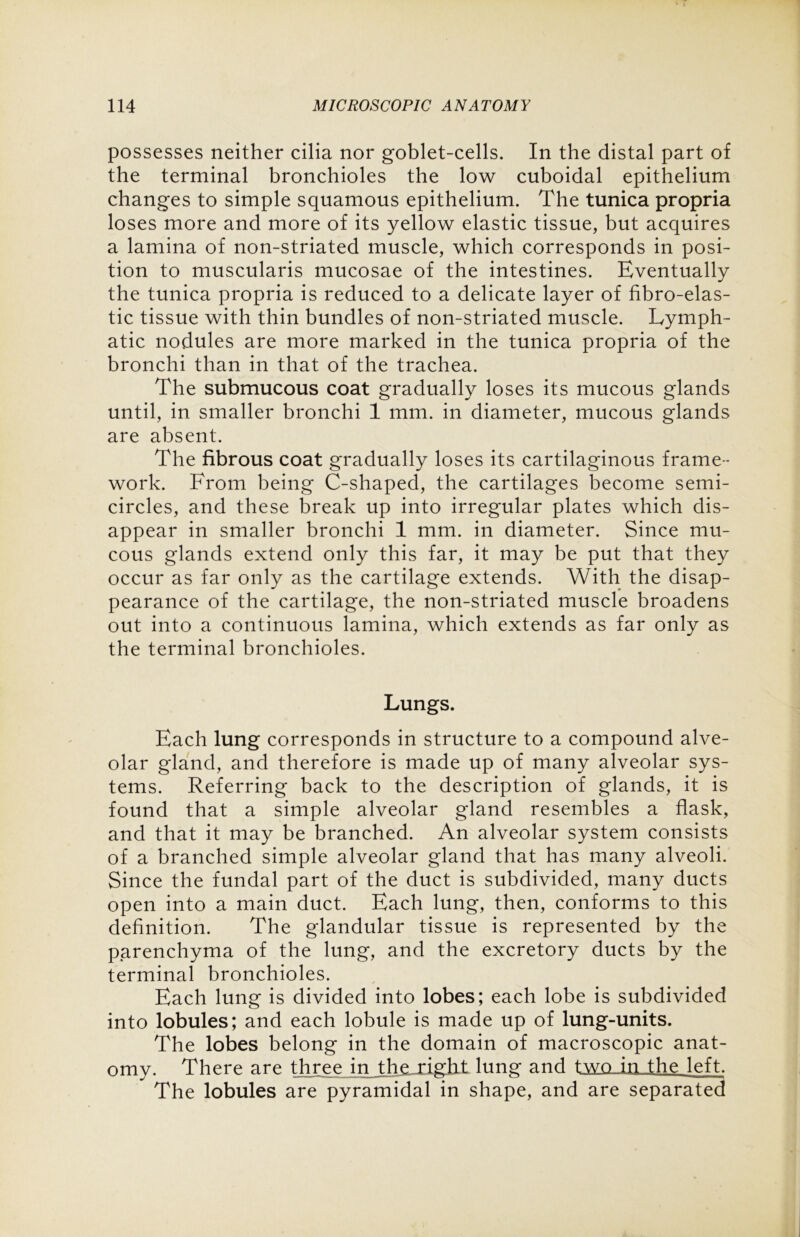 possesses neither cilia nor goblet-cells. In the distal part of the terminal bronchioles the low cuboidal epithelium changes to simple squamous epithelium. The tunica propria loses more and more of its yellow elastic tissue, but acquires a lamina of non-striated muscle, which corresponds in posi- tion to muscularis mucosae of the intestines. Eventually the tunica propria is reduced to a delicate layer of fibro-elas- tic tissue with thin bundles of non-striated muscle. Lymph- atic nodules are more marked in the tunica propria of the bronchi than in that of the trachea. The submucous coat gradually loses its mucous glands until, in smaller bronchi 1 mm. in diameter, mucous glands are absent. The fibrous coat gradually loses its cartilaginous frame- work. From being C-shaped, the cartilages become semi- circles, and these break up into irregular plates which dis- appear in smaller bronchi 1 mm. in diameter. Since mu- cous glands extend only this far, it may be put that they occur as far only as the cartilage extends. With the disap- pearance of the cartilage, the non-striated muscle broadens out into a continuous lamina, which extends as far only as the terminal bronchioles. Lungs. Each lung corresponds in structure to a compound alve- olar gland, and therefore is made up of many alveolar sys- tems. Referring back to the description of glands, it is found that a simple alveolar gland resembles a flask, and that it may be branched. An alveolar system consists of a branched simple alveolar gland that has many alveoli. Since the fundal part of the duct is subdivided, many ducts open into a main duct. Each lung, then, conforms to this definition. The glandular tissue is represented by the parenchyma of the lung, and the excretory ducts by the terminal bronchioles. Each lung is divided into lobes; each lobe is subdivided into lobules; and each lobule is made up of lung-units. The lobes belong in the domain of macroscopic anat- omy. There are three in. the right lung and two in the left. The lobules are pyramidal in shape, and are separated