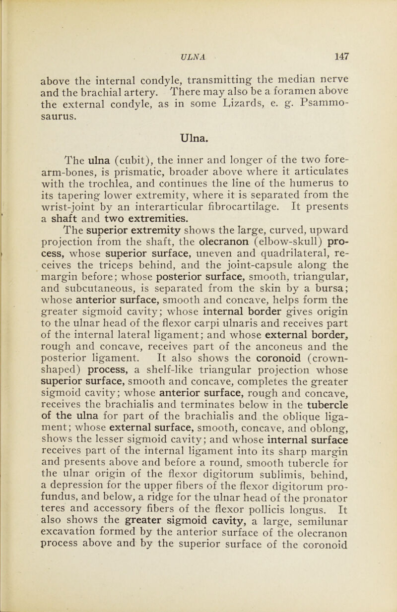 above the internal condyle, transmitting the median nerve and the brachial artery. There may also be a foramen above the external condyle, as in some Lizards, e. g. Psammo- saurus. Ulna. The ulna (cubit), the inner and longer of the two fore- arm-bones, is prismatic, broader above where it articulates with the trochlea, and continues the line of the humerus to its tapering lower extremity, where it is separated from the wrist-joint by an interarticular fibrocartilage. It presents a shaft and two extremities. The superior extremity shows the large, curved, upward projection from the shaft, the olecranon (elbow-skull) pro- cess, whose superior surface, uneven and quadrilateral, re- ceives the triceps behind, and the joint-capsule along the margin before; whose posterior surface, smooth, triangular, and subcutaneous, is separated from the skin by a bursa; whose anterior surface, smooth and concave, helps form the greater sigmoid cavity; whose internal border gives origin to the ulnar head of the flexor carpi ulnaris and receives part of the internal lateral ligament; and whose external border* rough and concave, receives part of the anconeus and the posterior ligament. It also shows the coronoid (crown- shaped) process, a shelf-like triangular projection whose superior surface, smooth and concave, completes the greater sigmoid cavity; whose anterior surface, rough and concave, receives the brachialis and terminates below in the tubercle of the ulna for part of the brachialis and the oblique liga- ment; whose external surface, smooth, concave, and oblong, shows the lesser sigmoid cavity; and whose internal surface receives part of the internal ligament into its sharp margin and presents above and before a round, smooth tubercle for the ulnar origin of the flexor digitorum sublimis, behind, a depression for the upper fibers of the flexor digitorum pro- fundus, and below, a ridge for the ulnar head of the pronator teres and accessory fibers of the flexor pollicis longus. It also shows the greater sigmoid cavity, a large, semilunar excavation formed by the anterior surface of the olecranon process above and by the superior surface of the coronoid